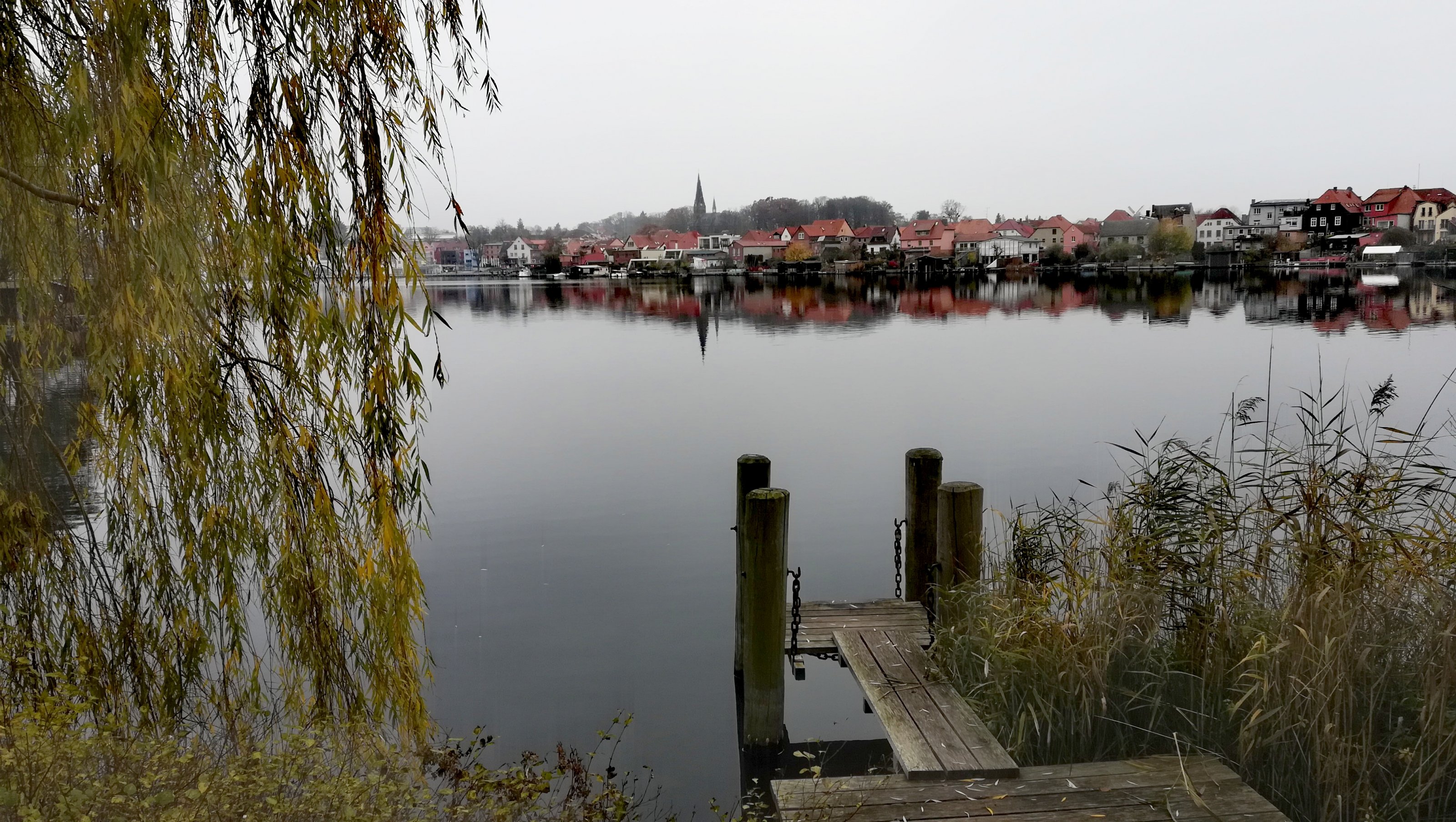 IMG_20211114_112555.jpg