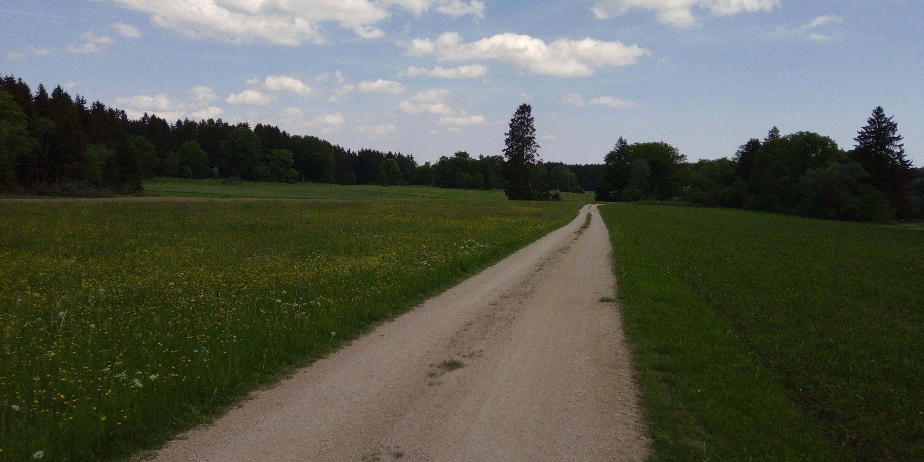 IMG_20220520_131834.jpg