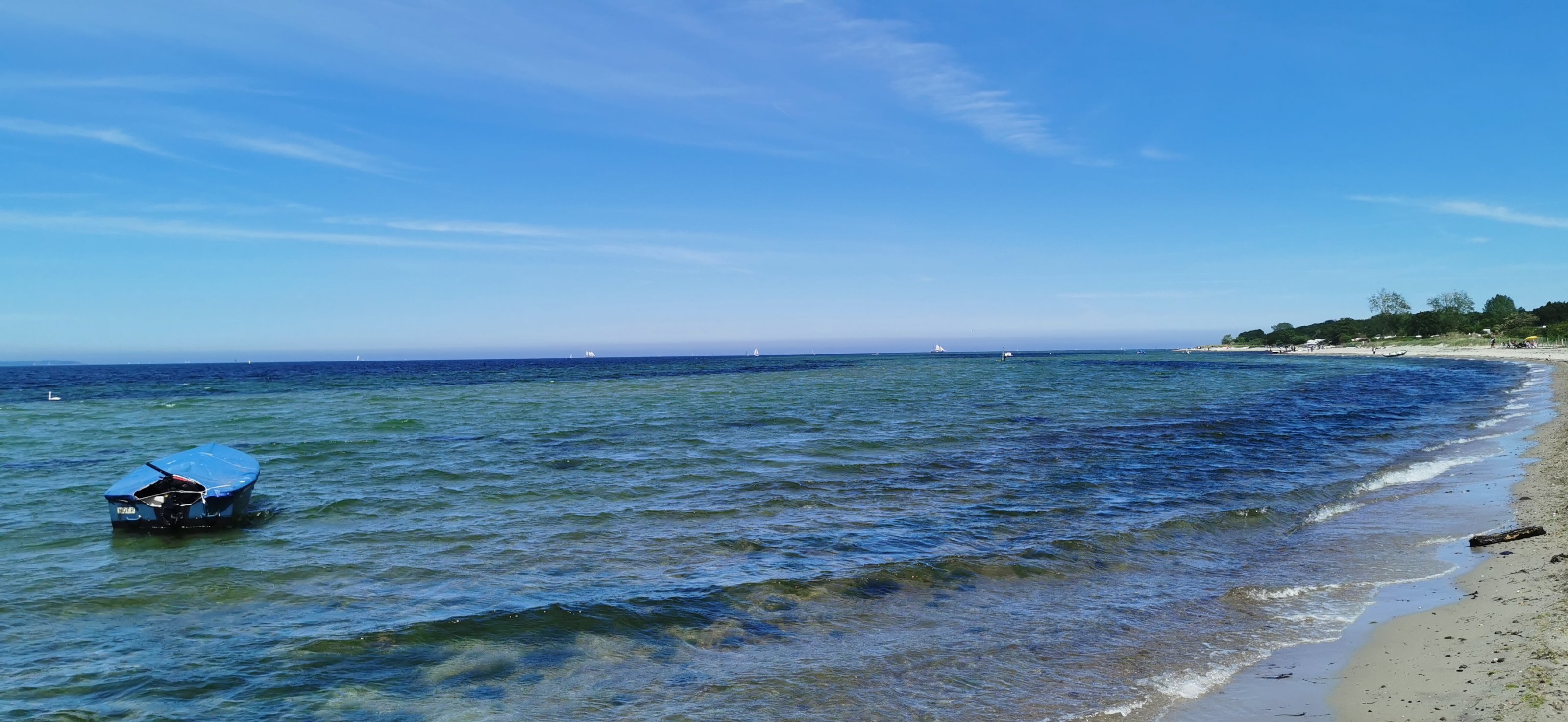 IMG_20220605_142107.jpg