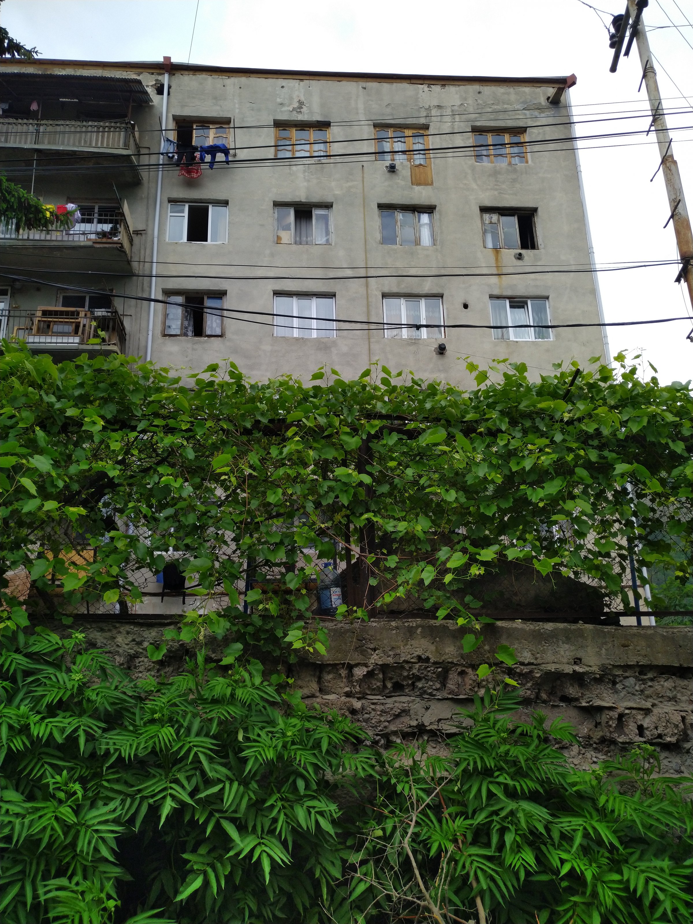 IMG_20220619_150742.jpg