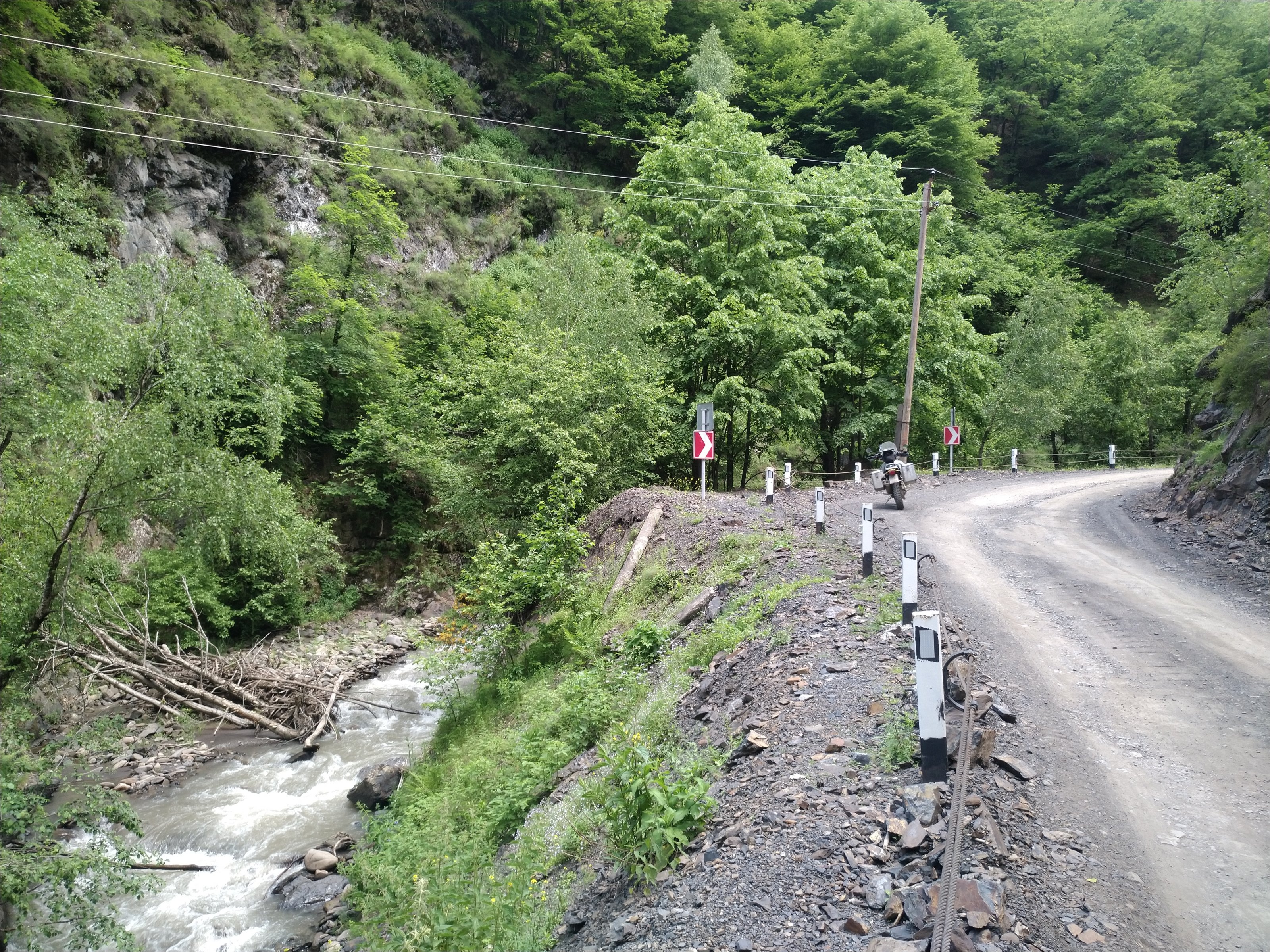 IMG_20220621_112939.jpg