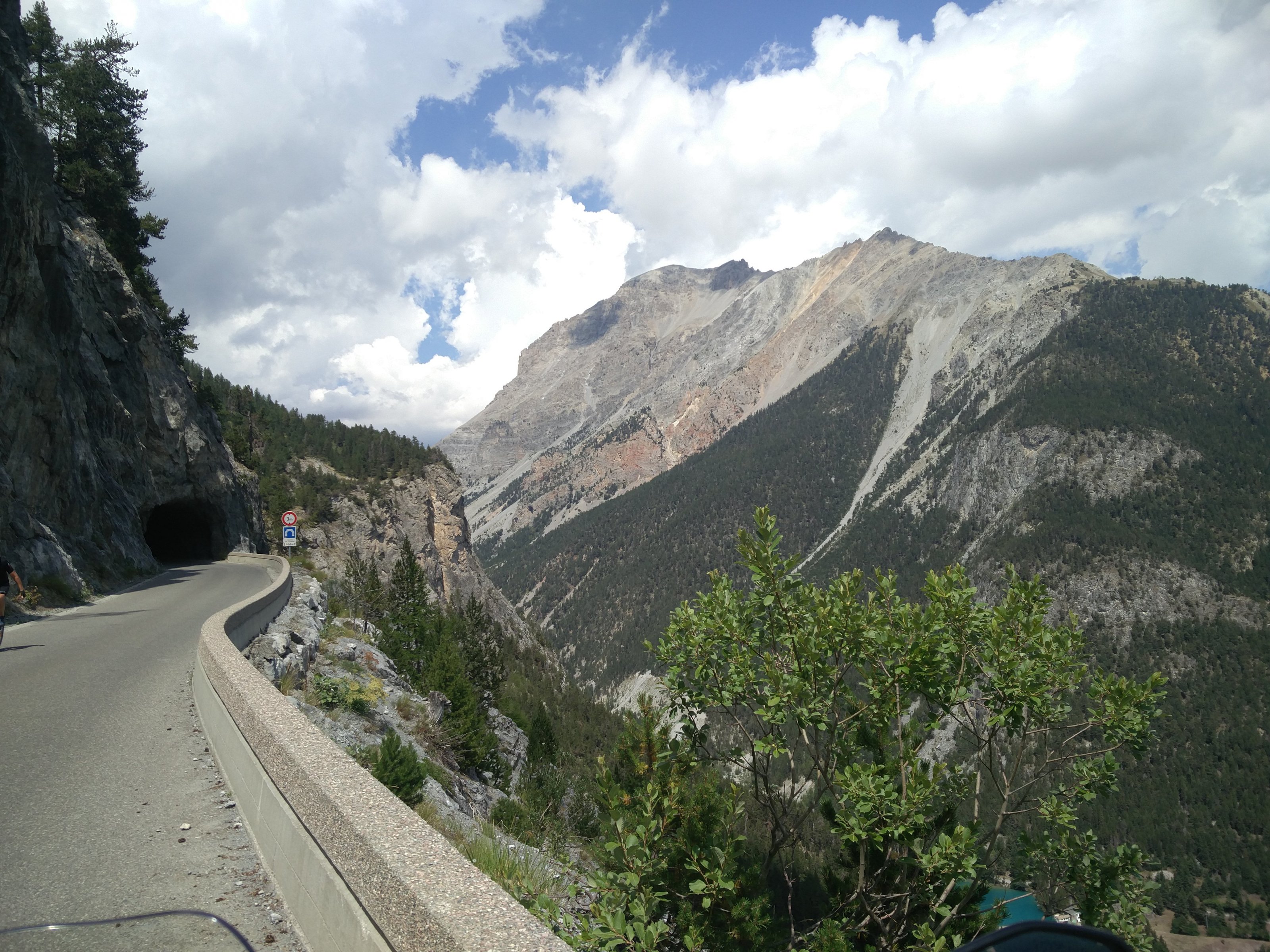IMG_20220807_125159.jpg