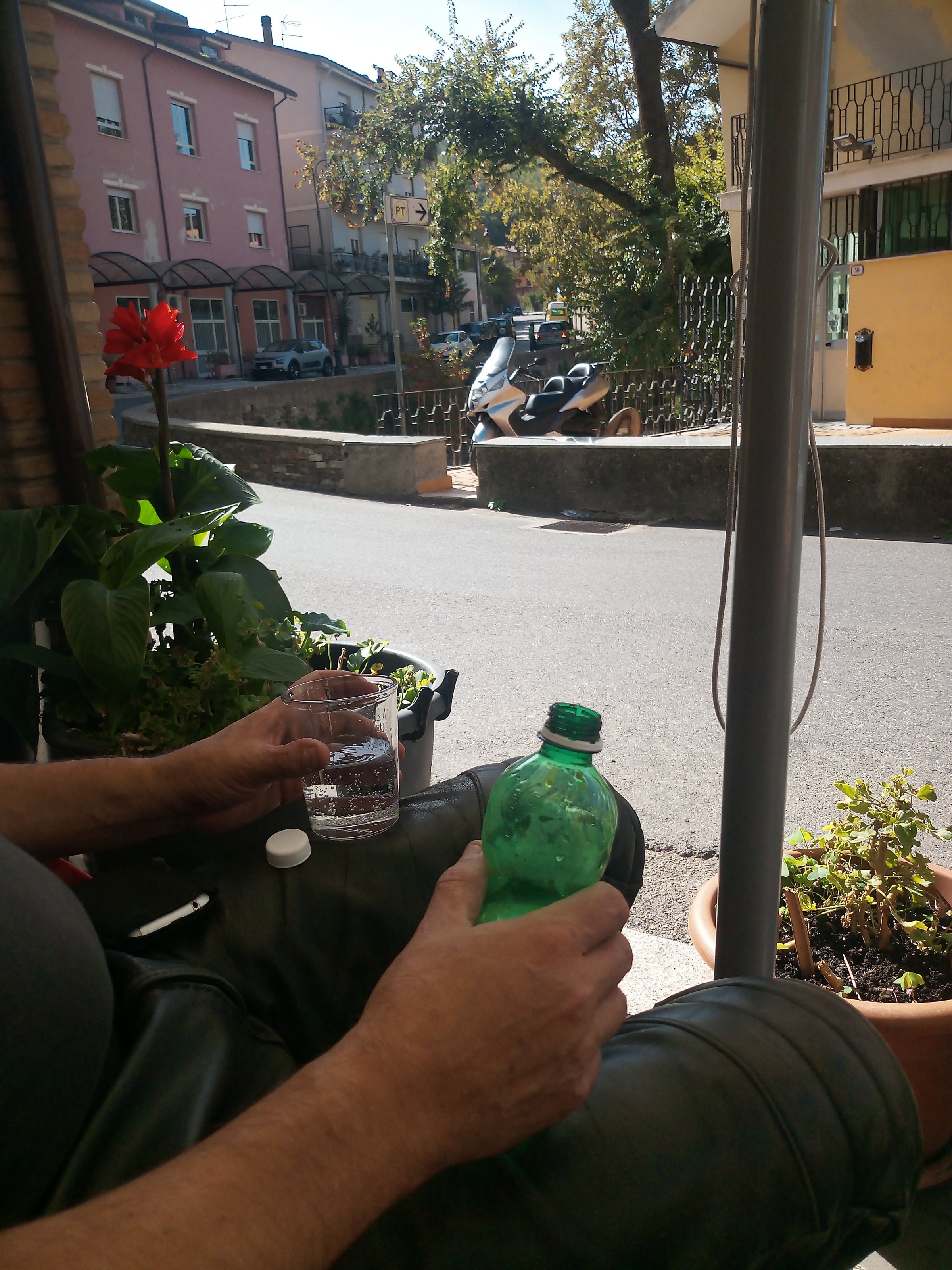 IMG_20221025_131947_9.jpg