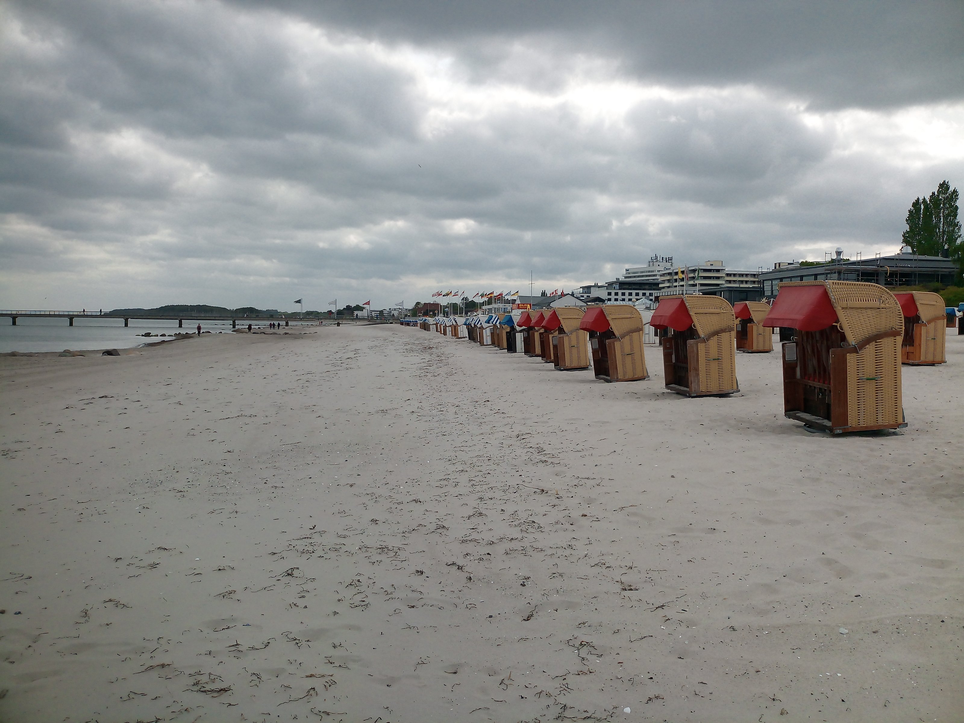 IMG_20230523_173252_8.jpg