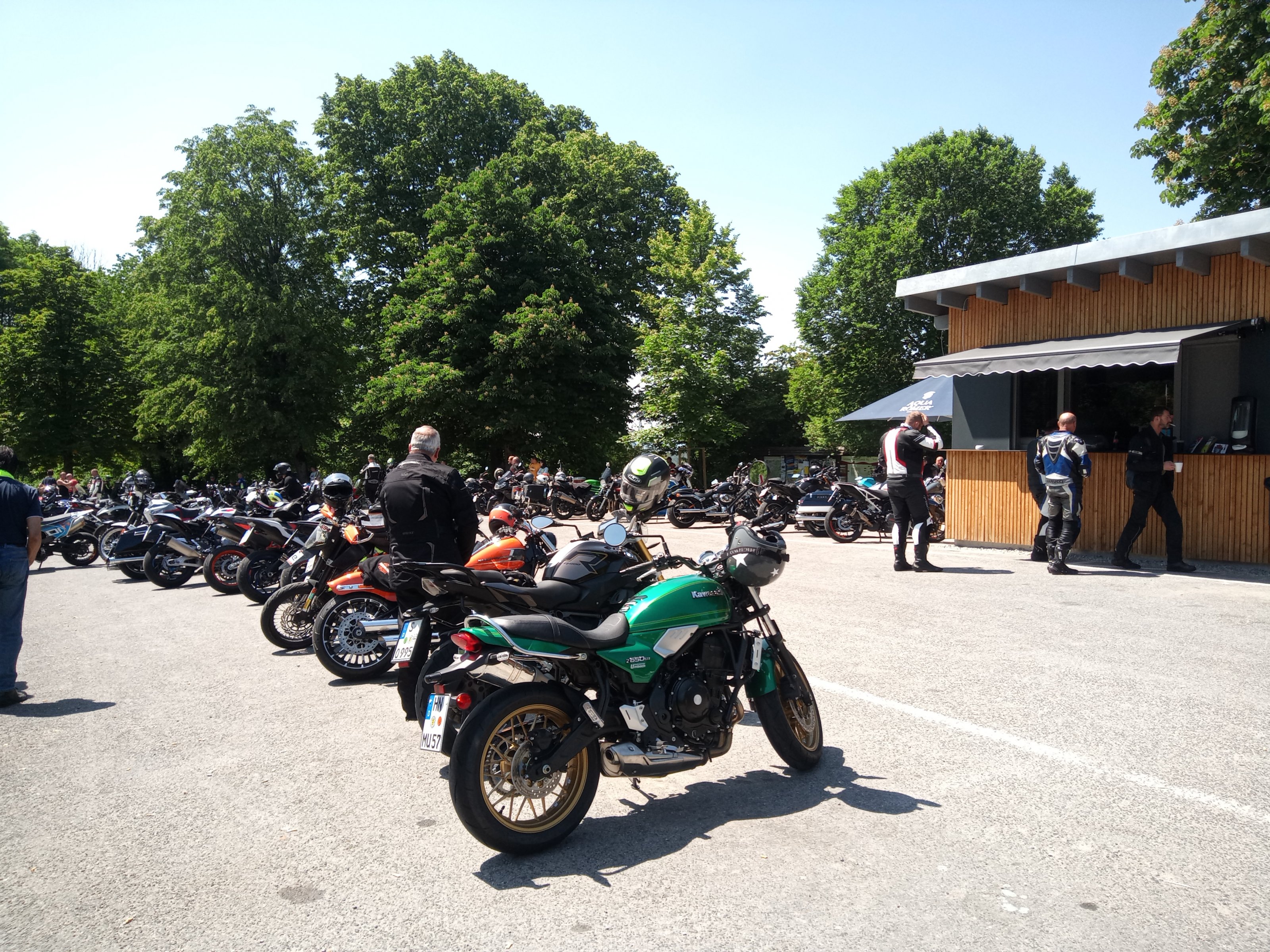 IMG_20230604_135956_095.jpg