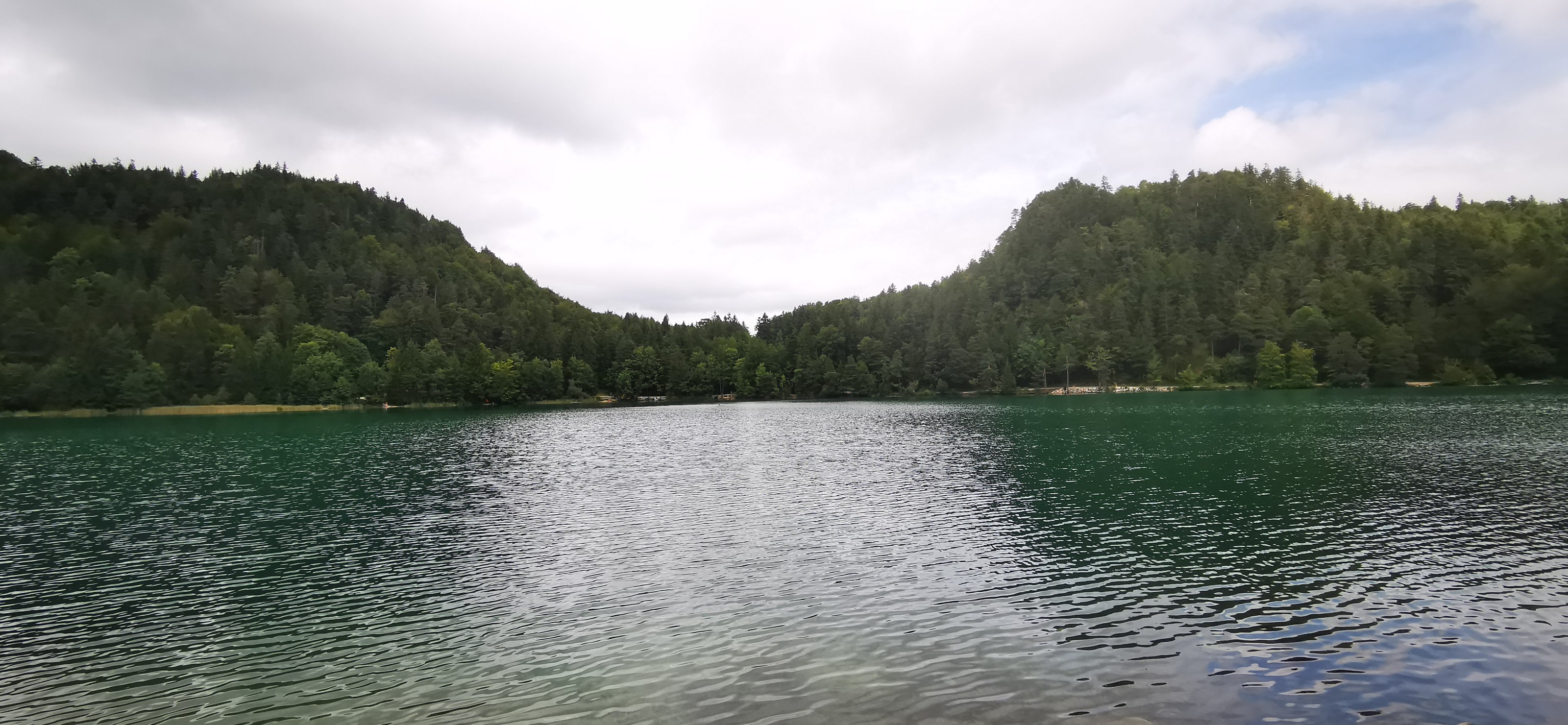 IMG_20230826_135655.jpg