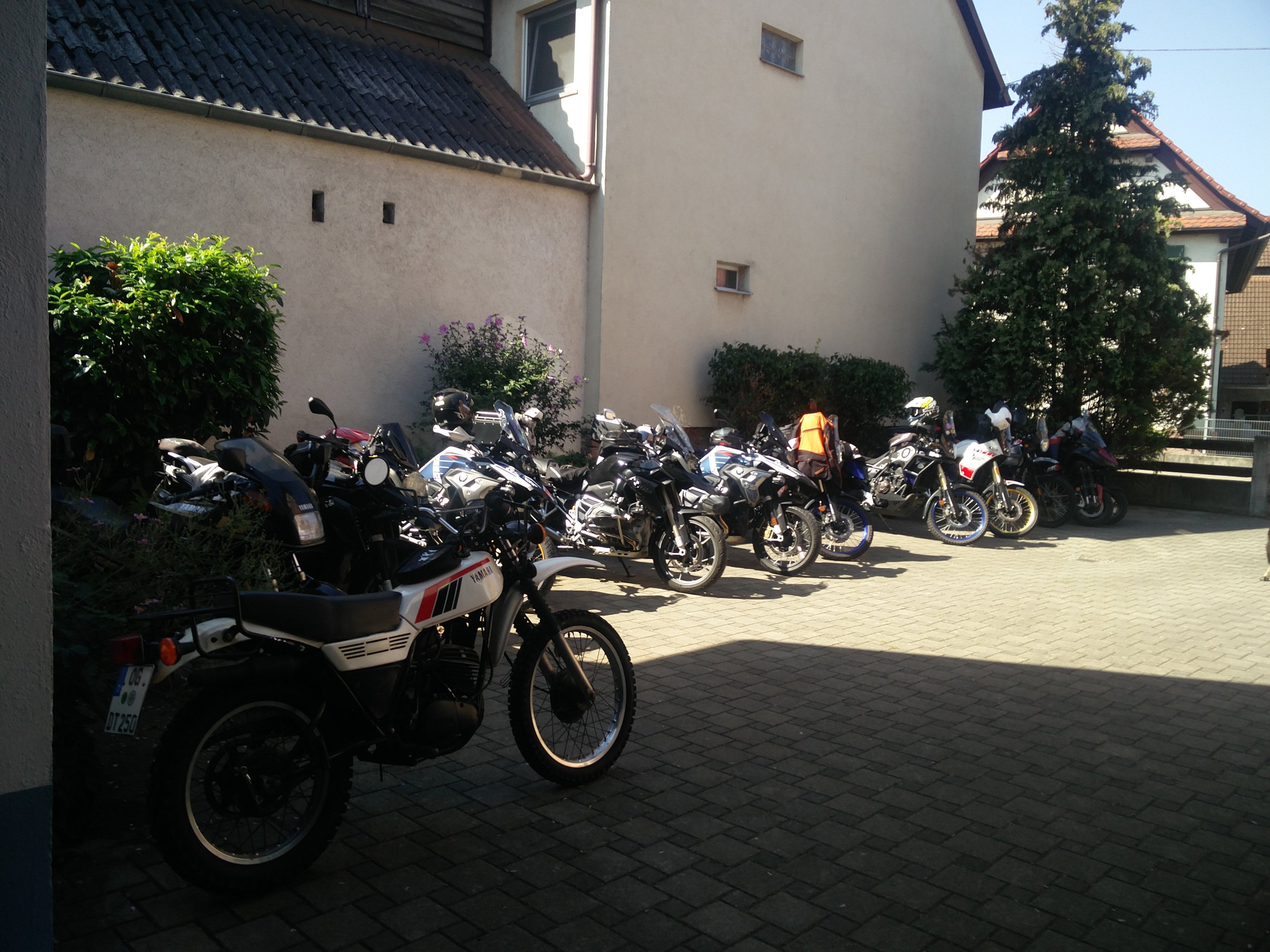 IMG_20230909_123526.jpg