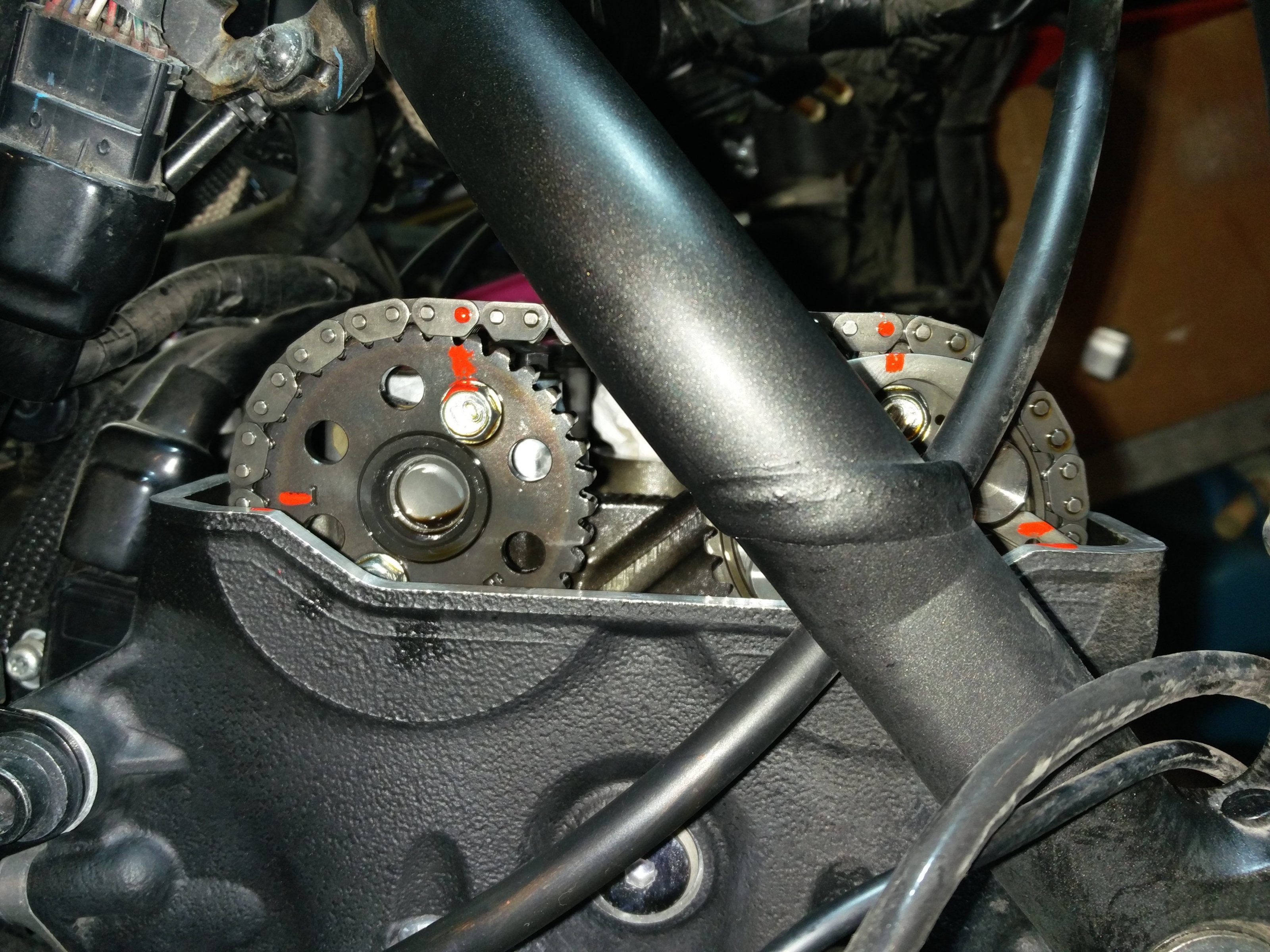 IMG_20240207_125125.jpg