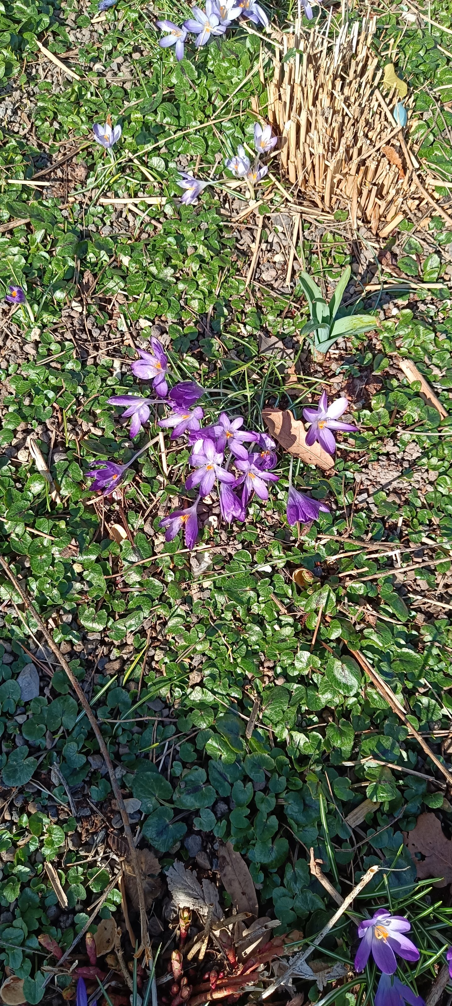 IMG_20250307_141916.jpg