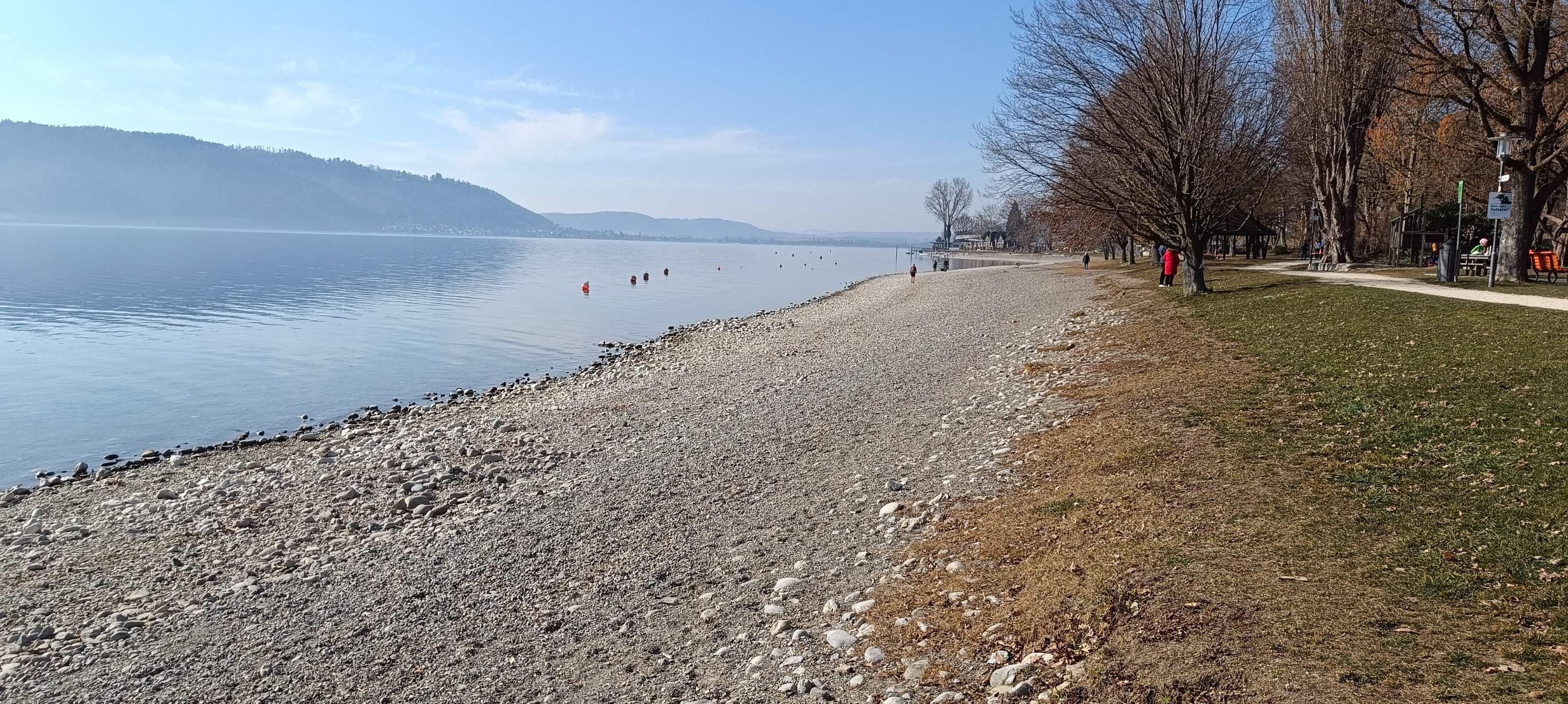 IMG_20250307_142947.jpg