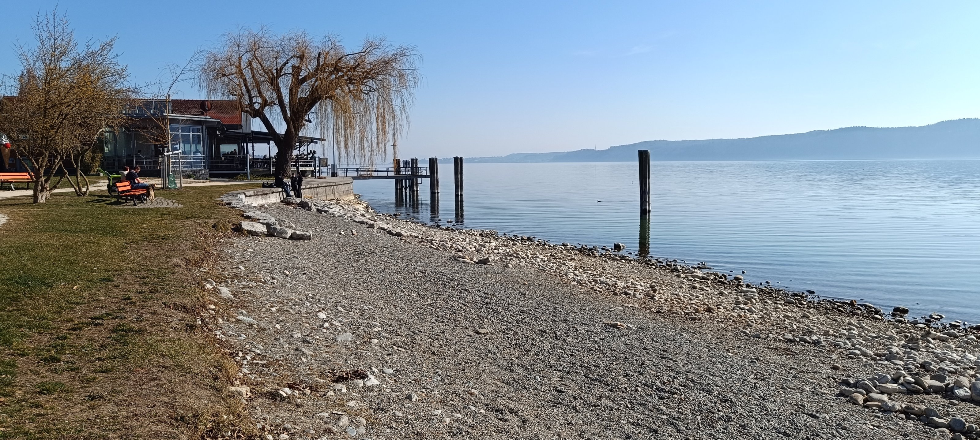 IMG_20250307_142953.jpg