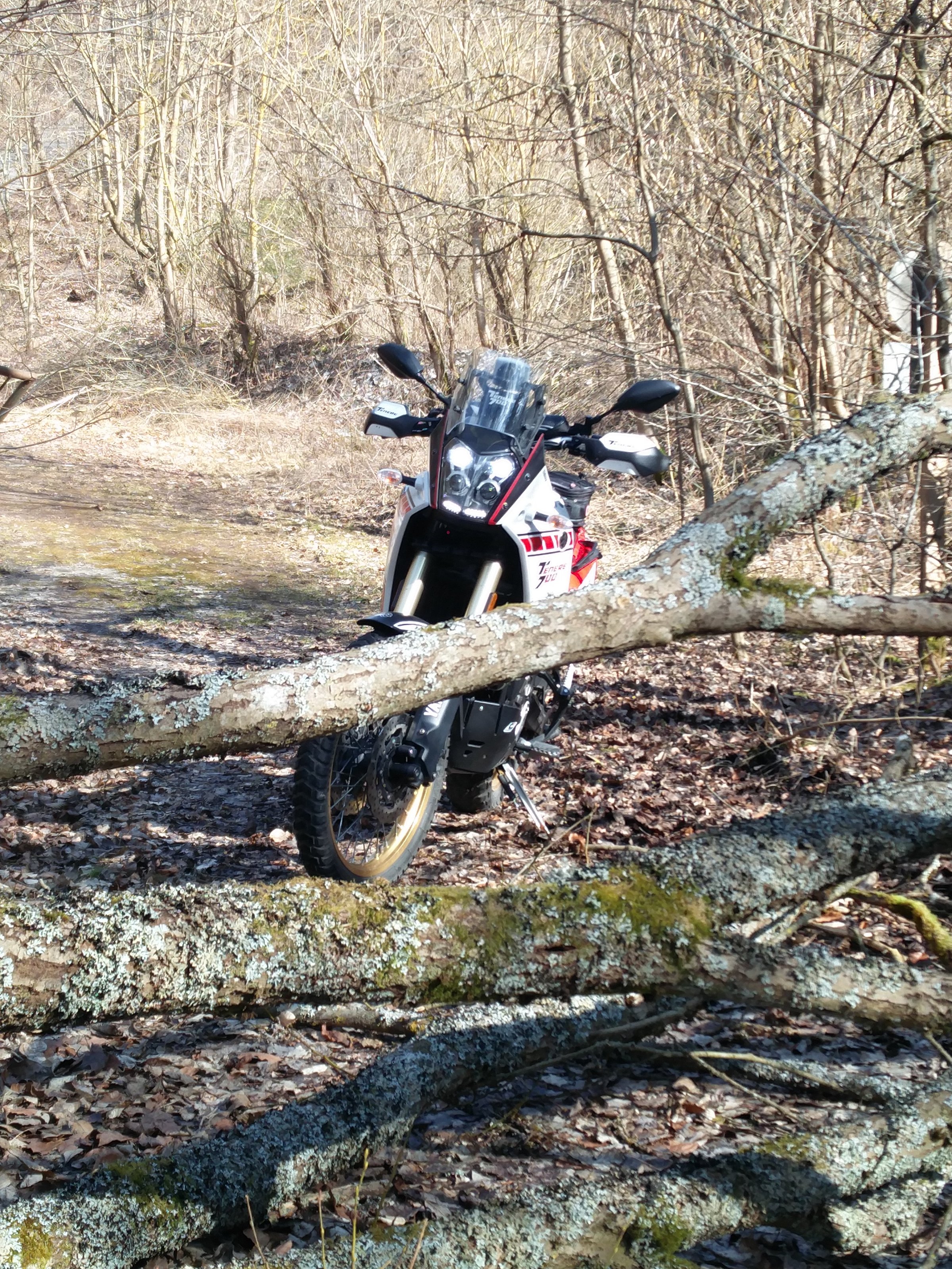 IMG_20250316_131032.jpg