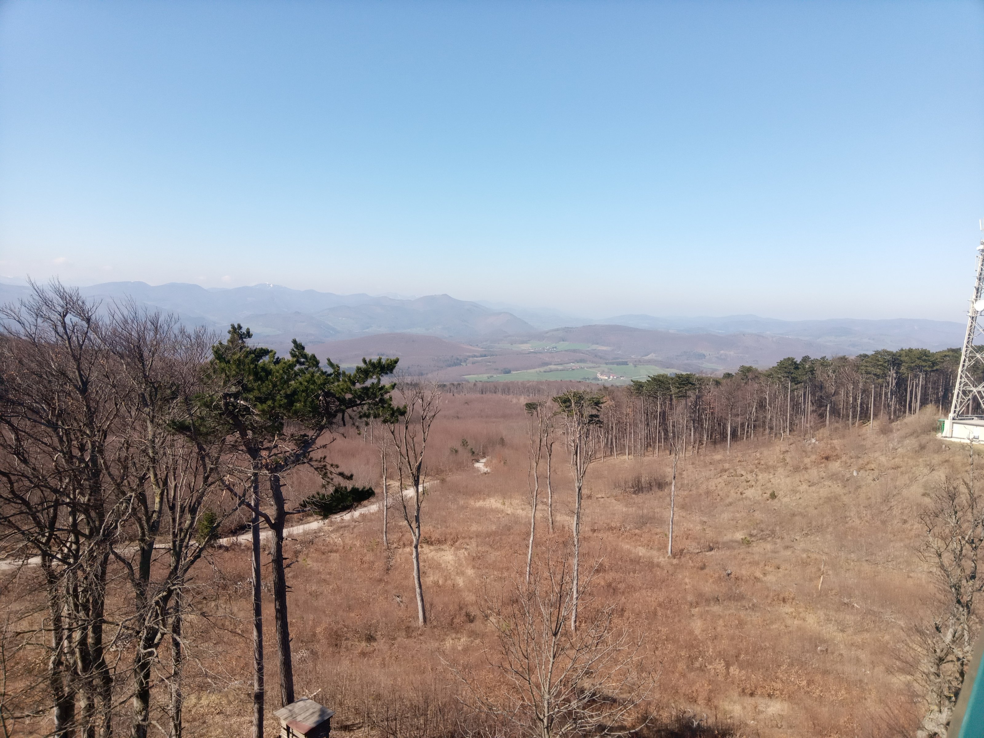 IMG_20250403_111730.jpg