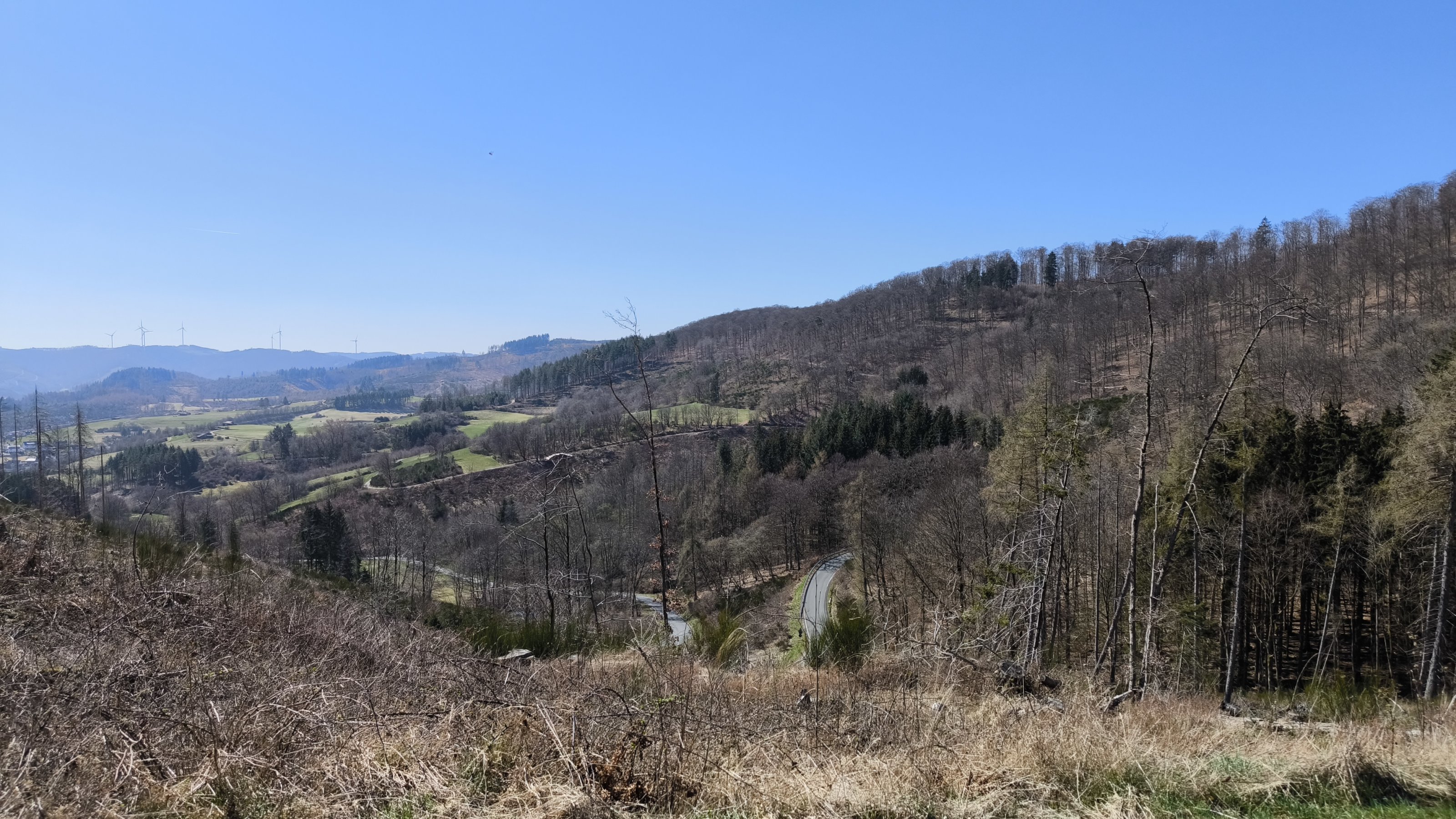IMG_20250404_142237.jpg
