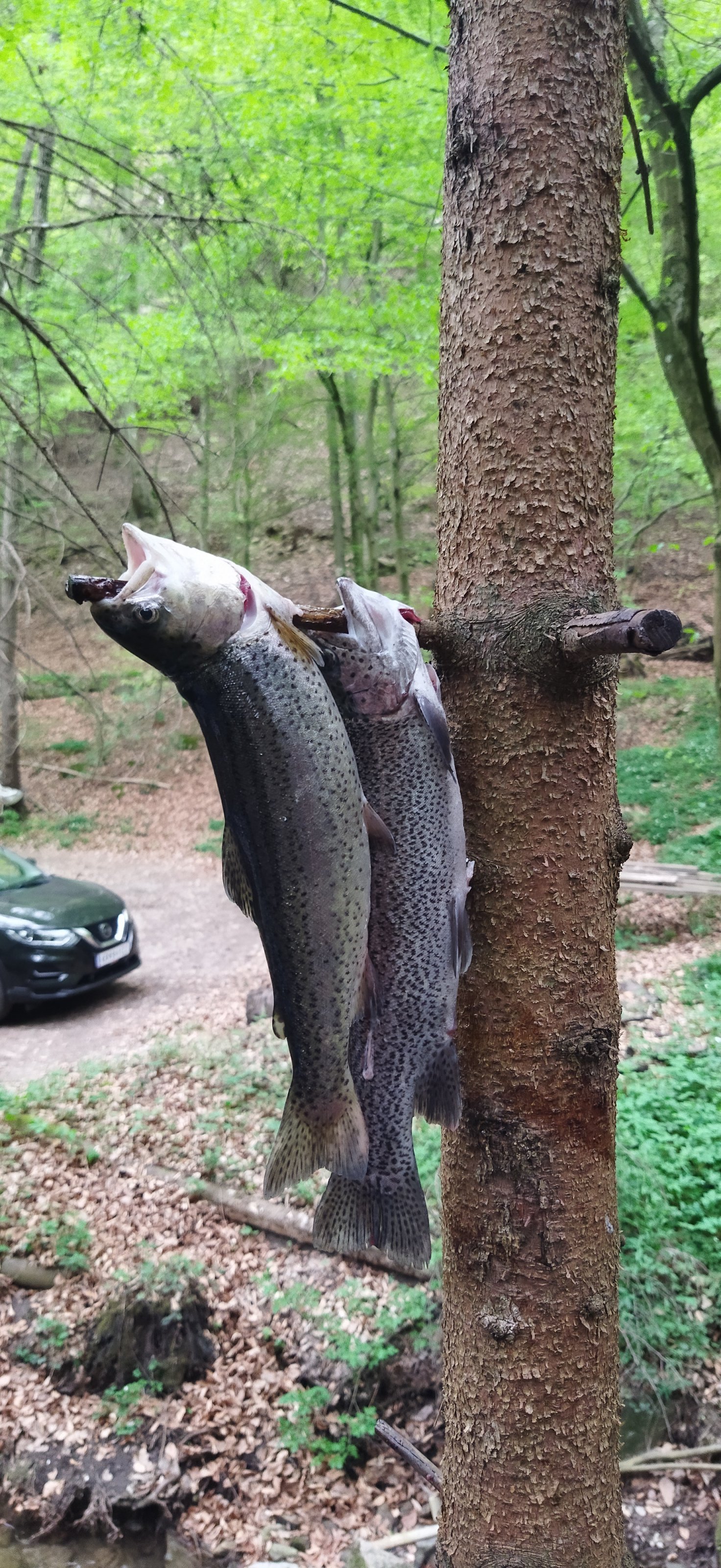 IMG_20250417_175356.jpg