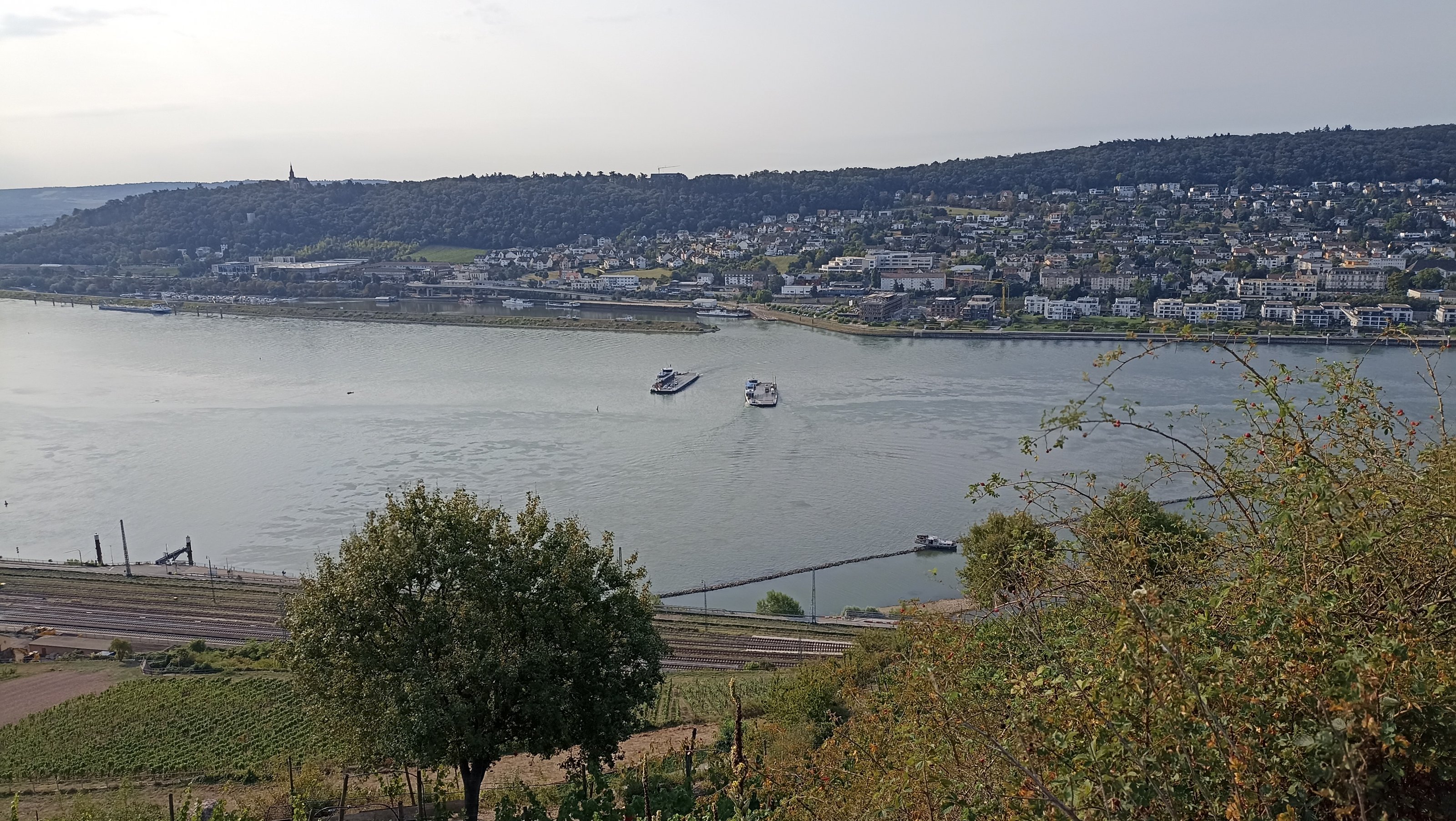 IMG_20250820_092559[1].jpg