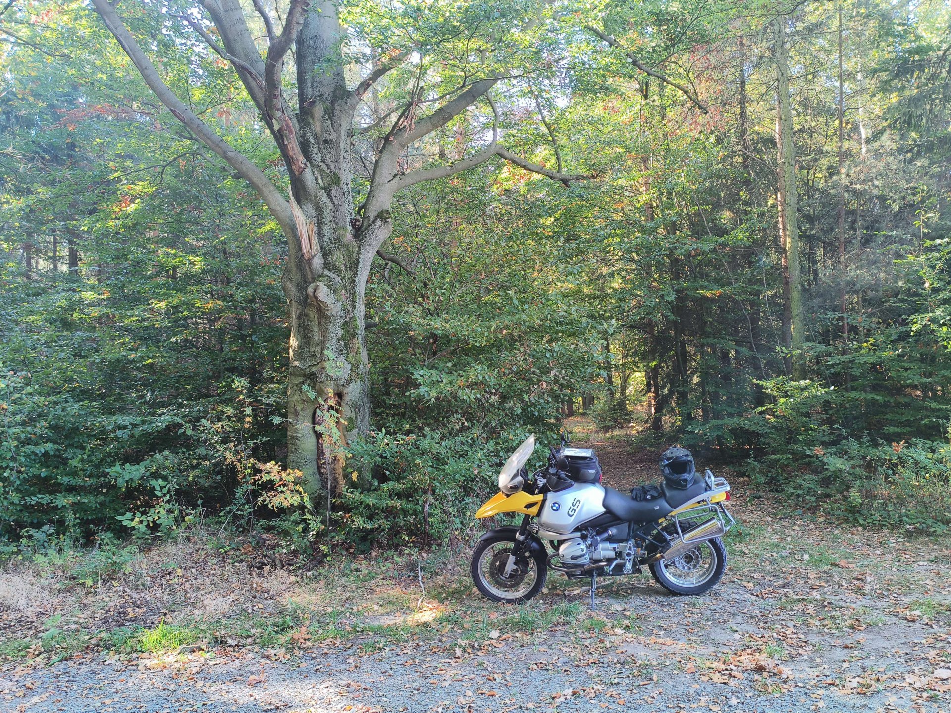 IMG_20261006_105531_282 (FILEminimizer).jpg