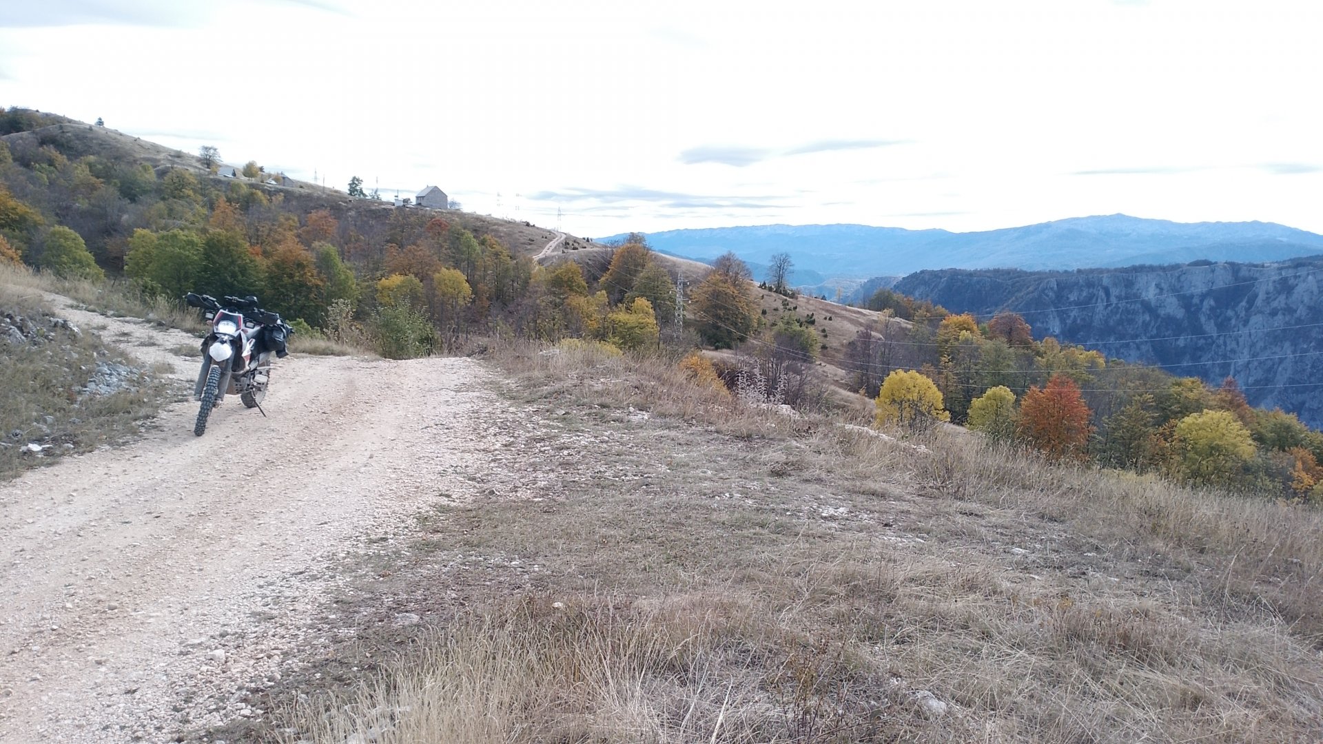 IMG_20261017_135353.jpg