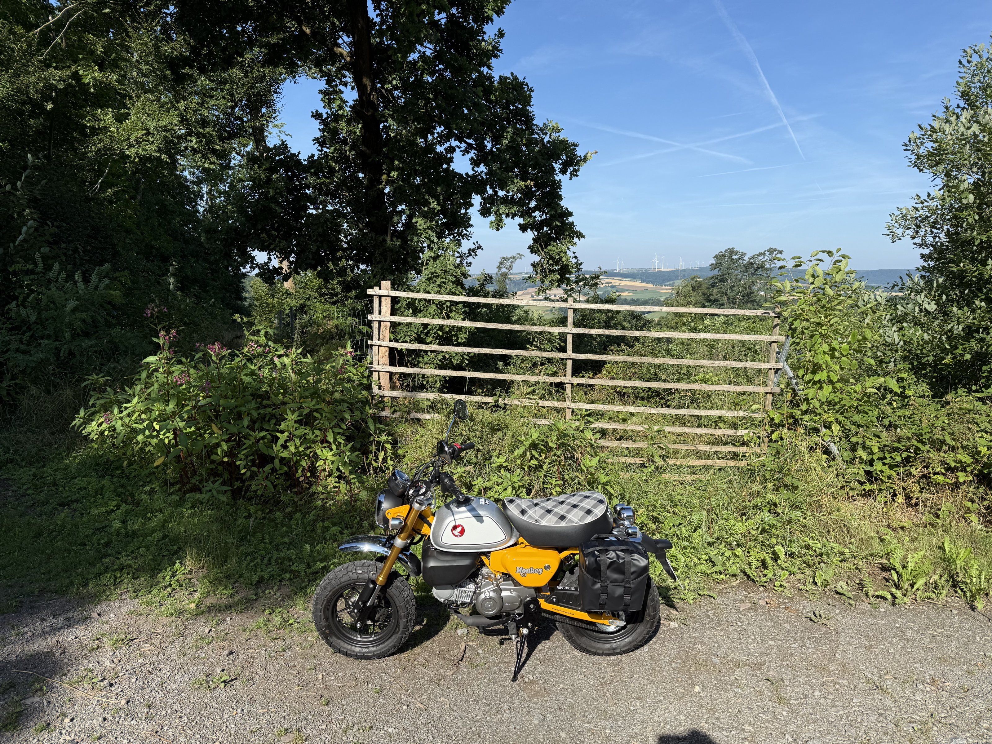 IMG_2151.jpeg