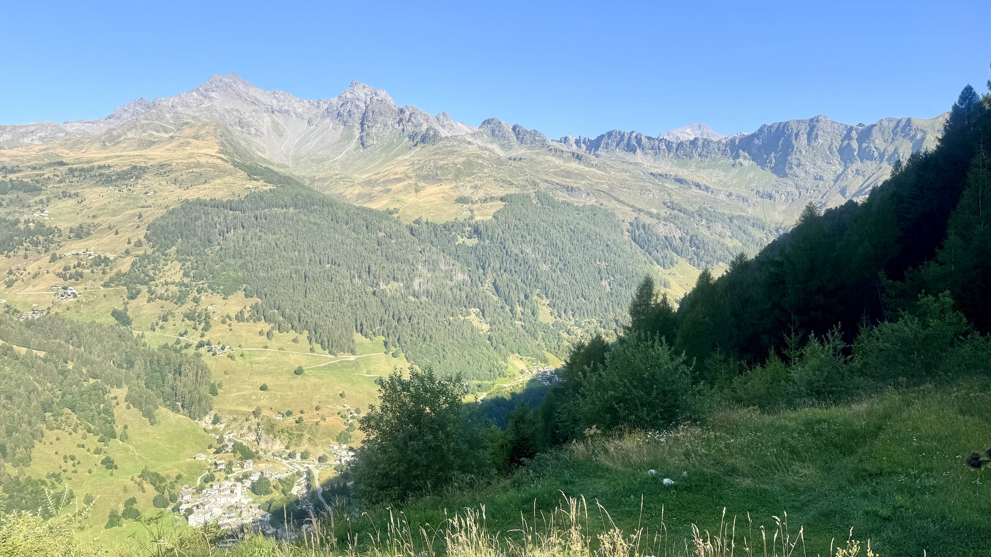 IMG_2186.JPEG