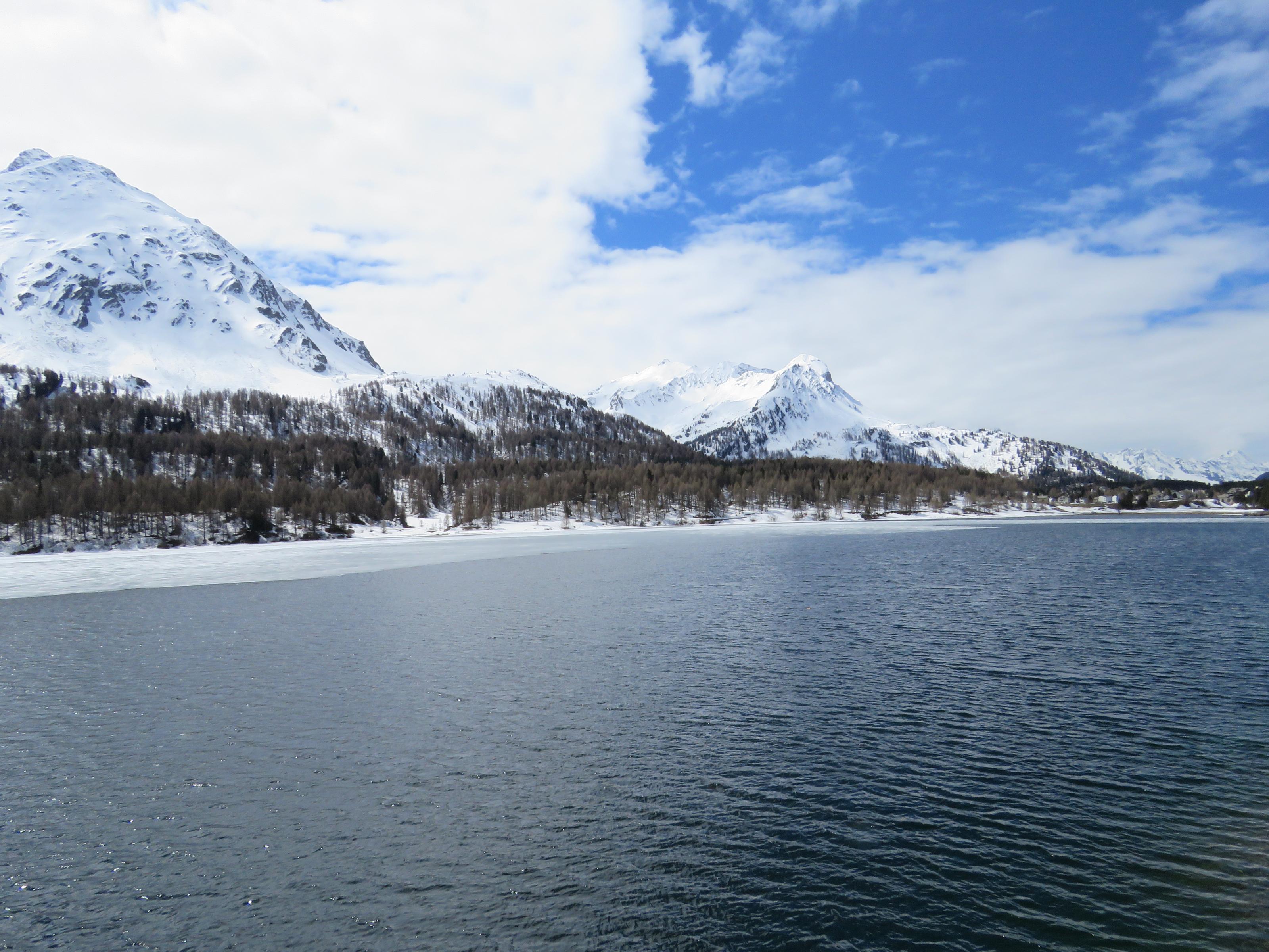 IMG_2209.jpg