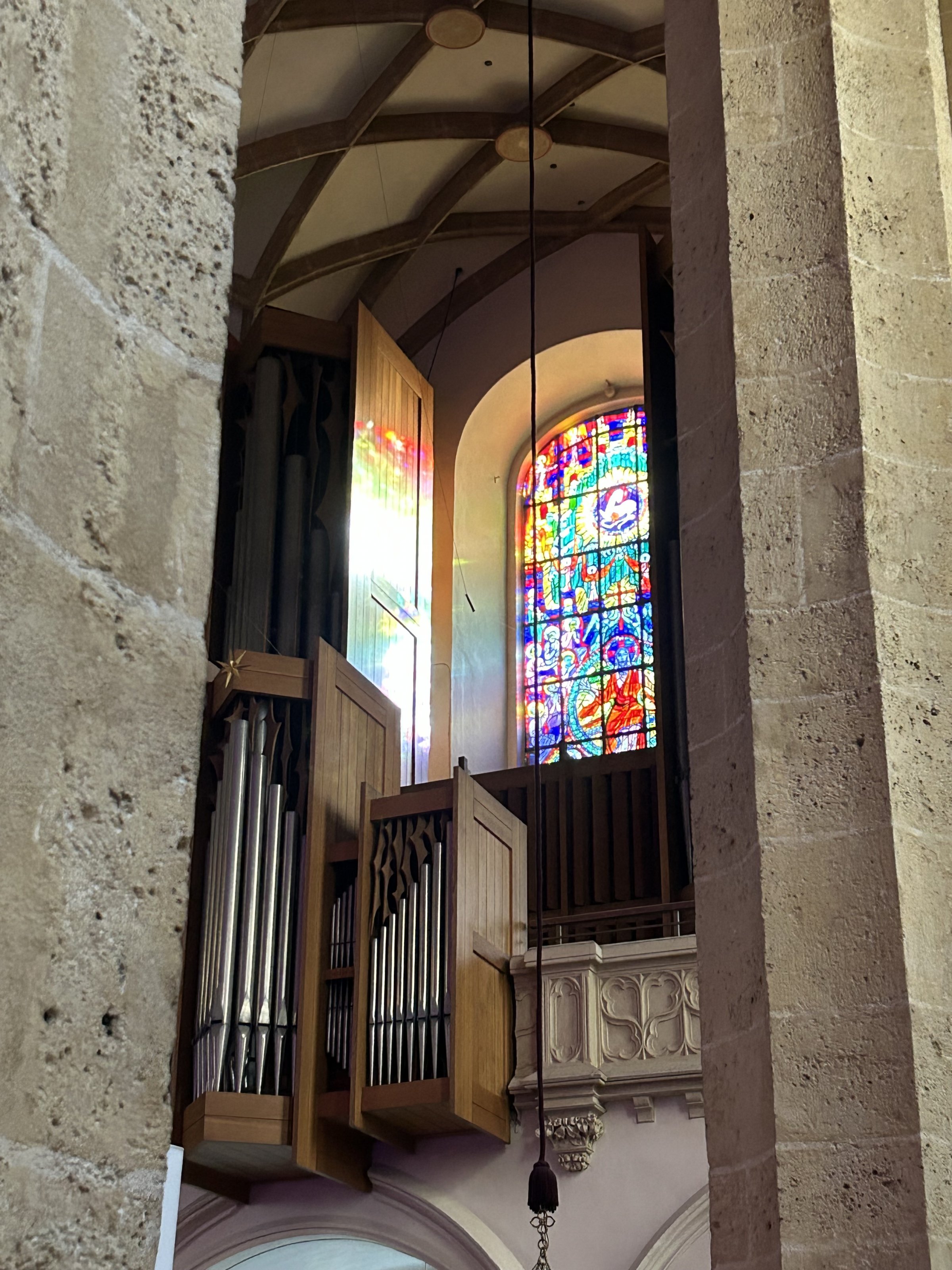 IMG_2428.jpeg