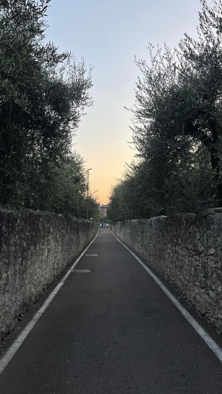 IMG_2459.jpeg