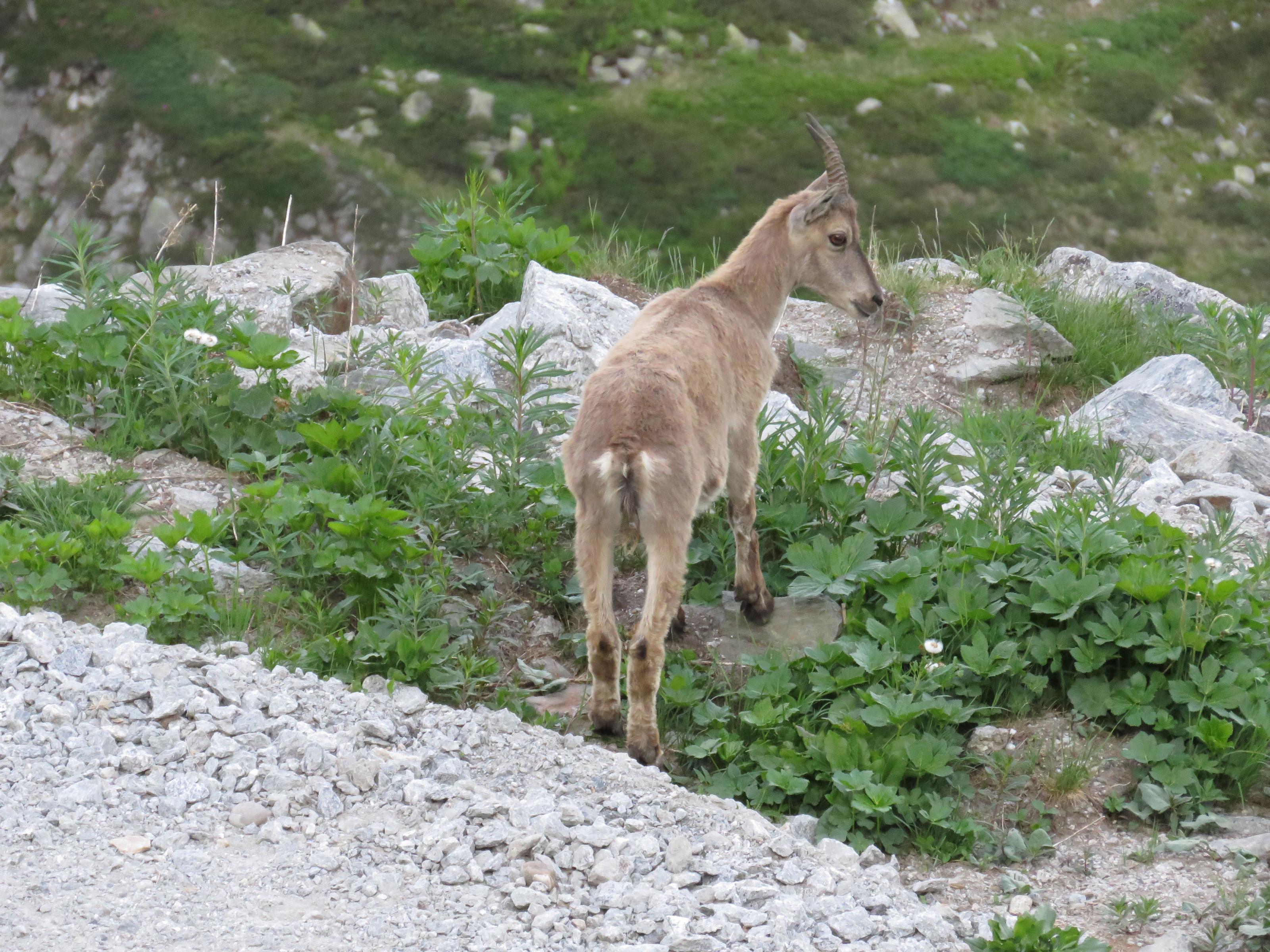 IMG_2600.jpg