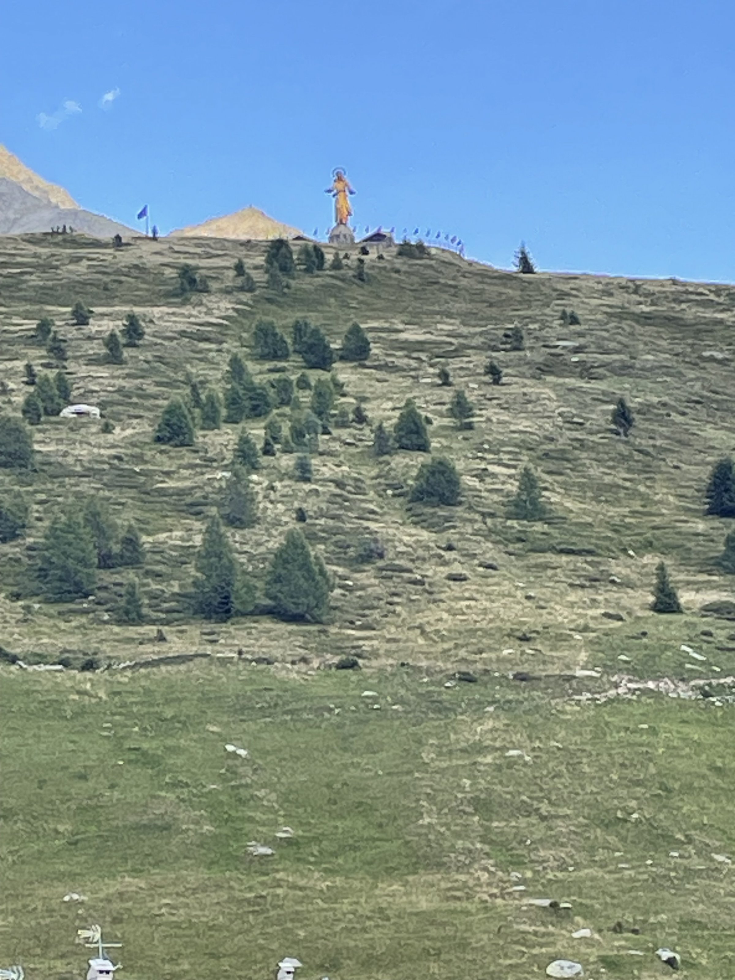 IMG_2978.jpeg