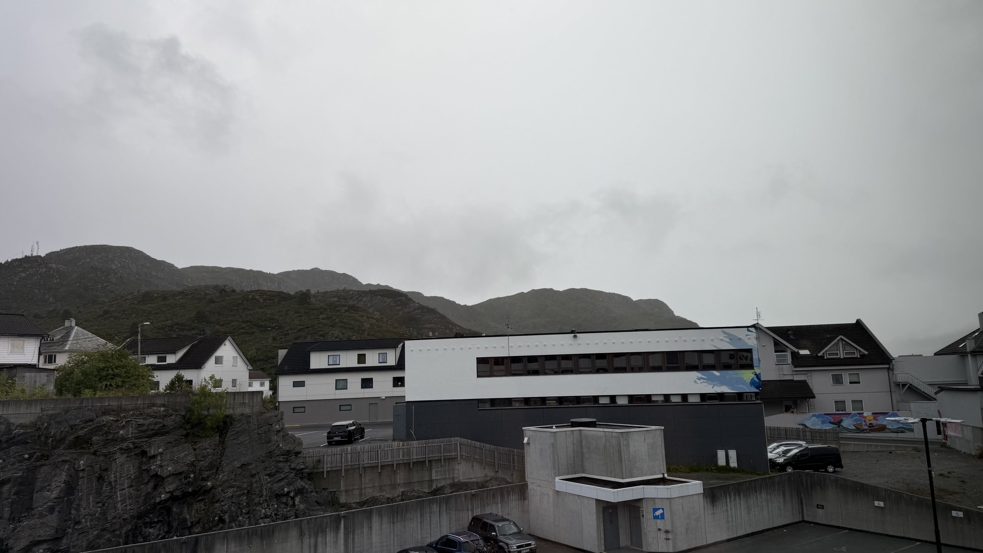 IMG_3052.jpeg