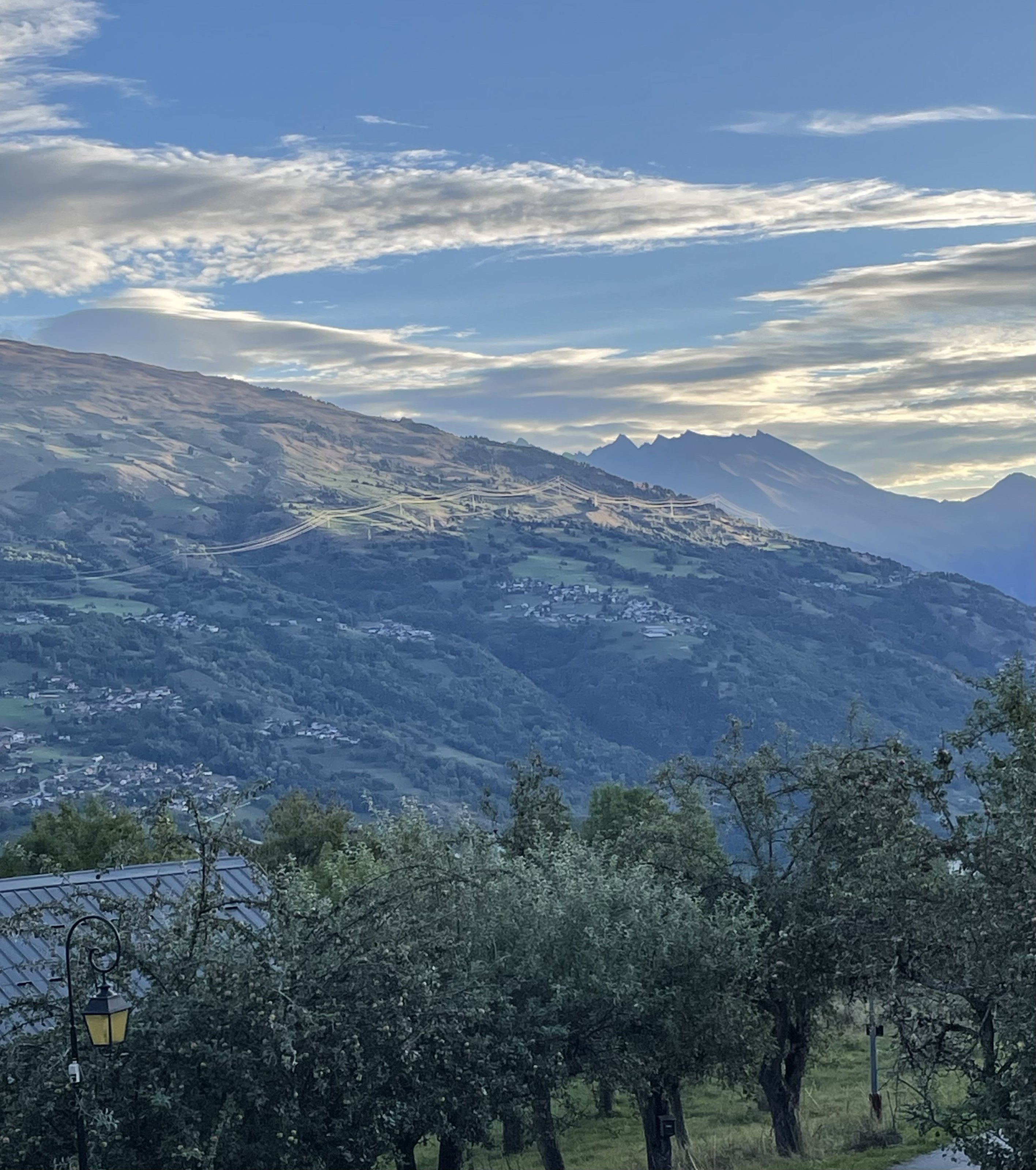 IMG_3091.jpeg