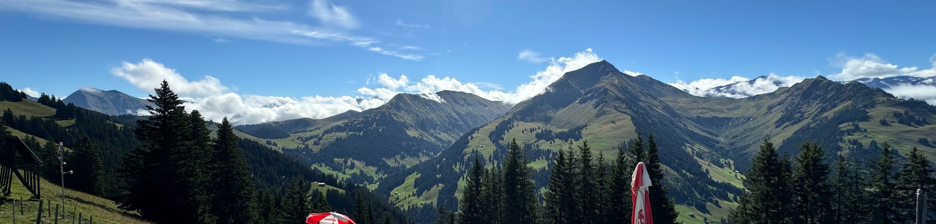 IMG_3315_jpg.jpeg