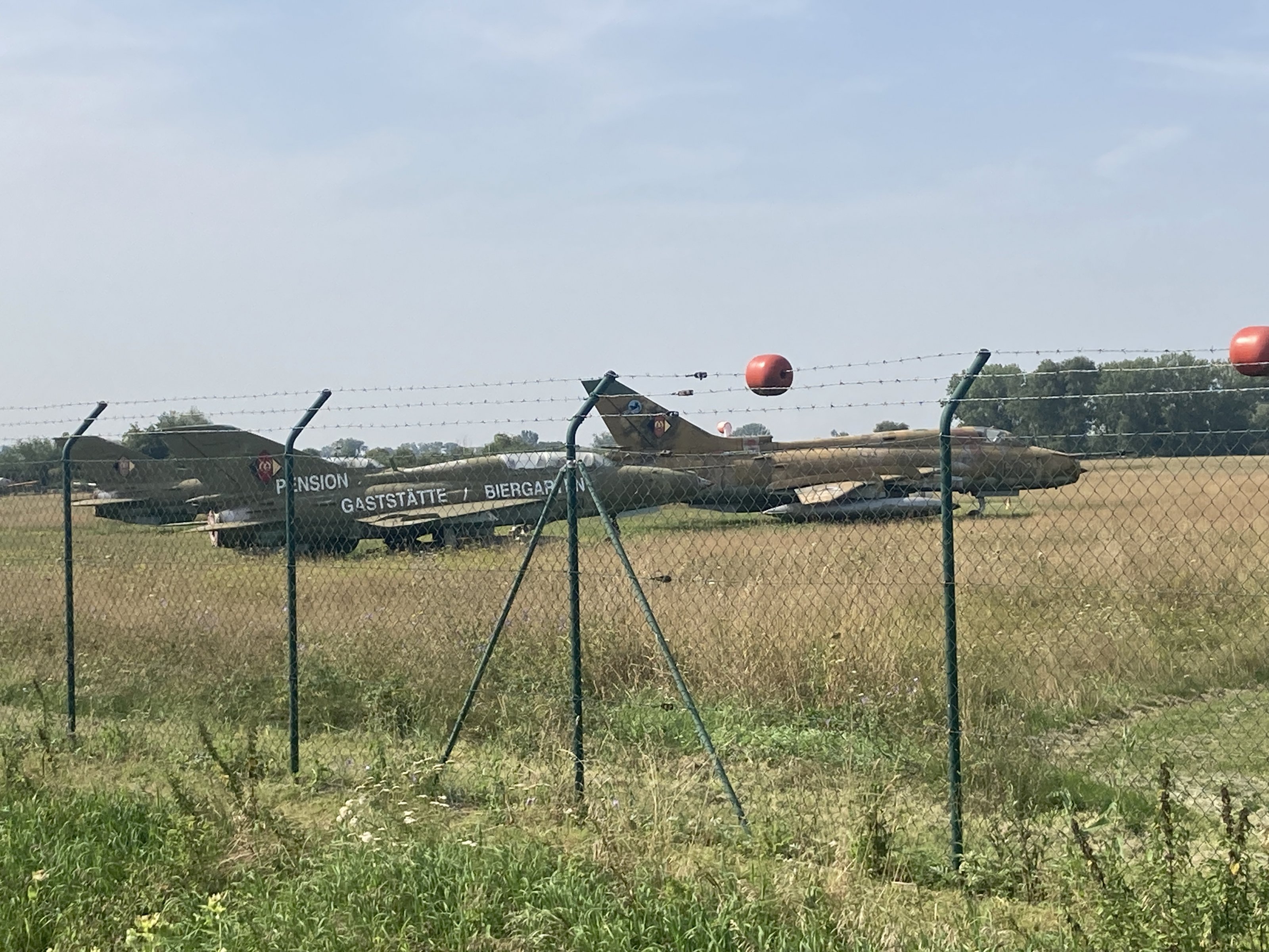 IMG_3388.jpeg