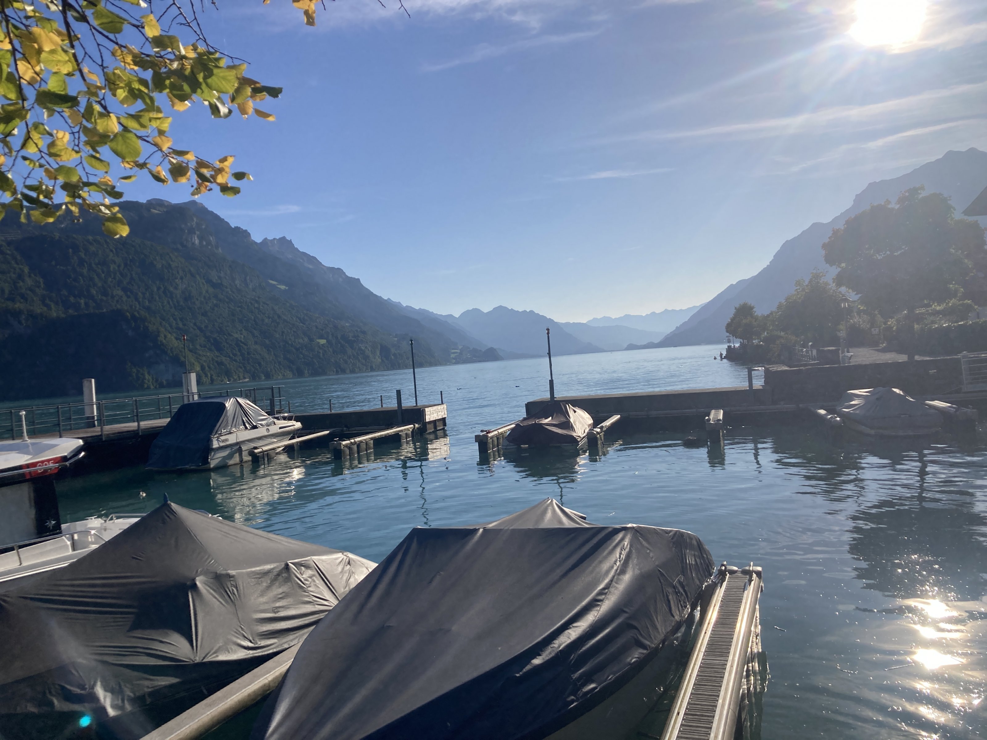 IMG_3528.jpeg