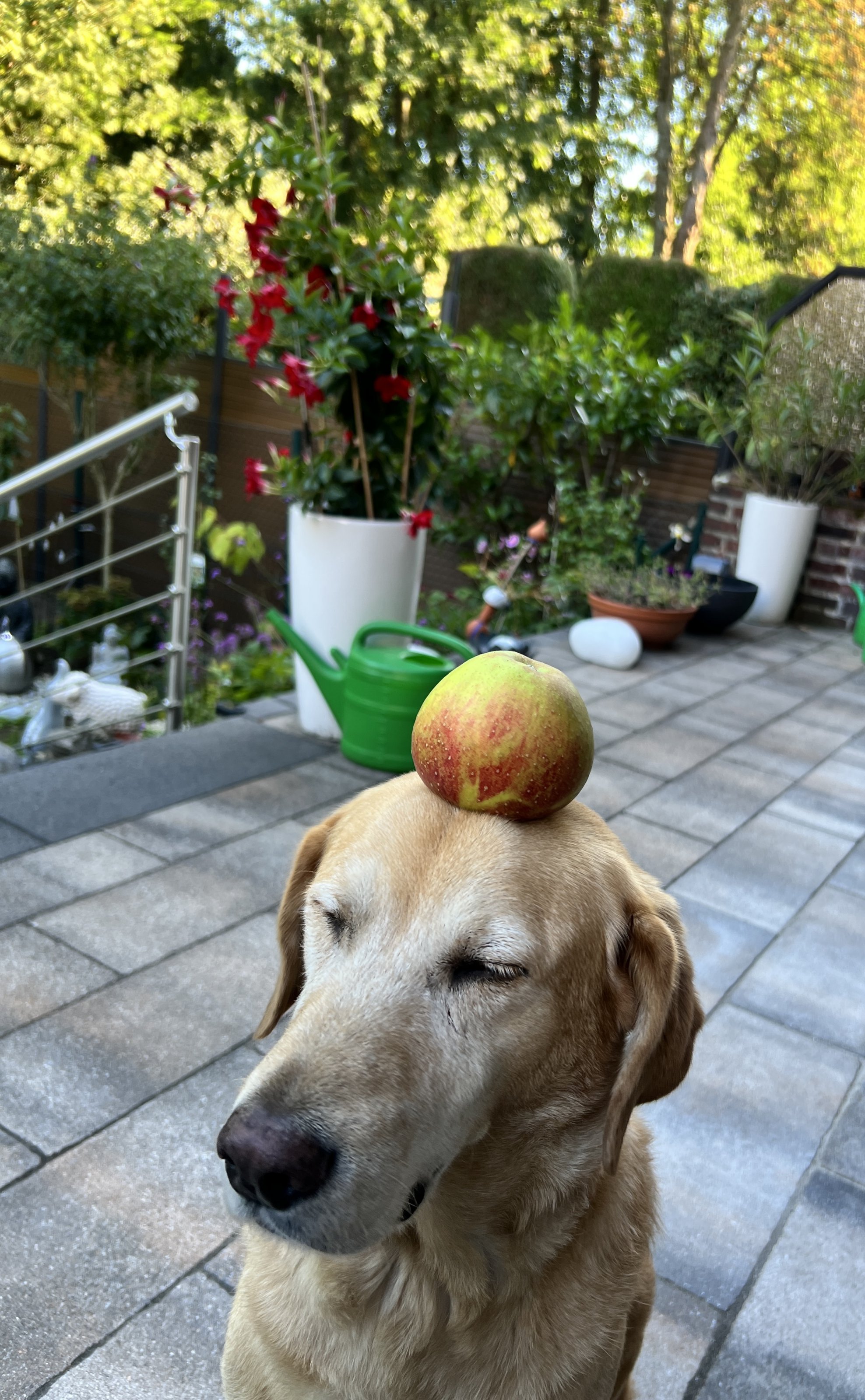 IMG_3562.jpeg