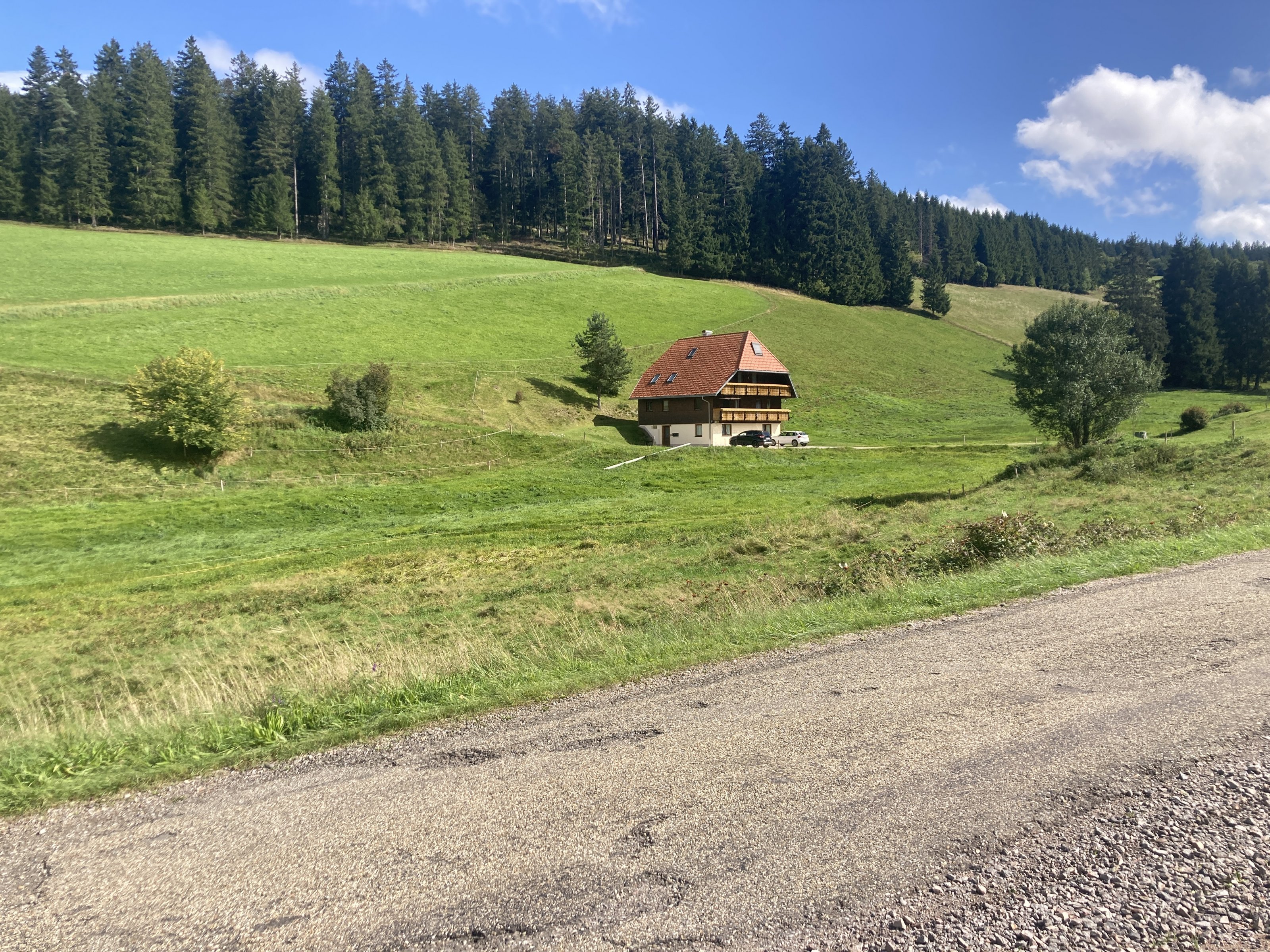 IMG_3562.jpeg