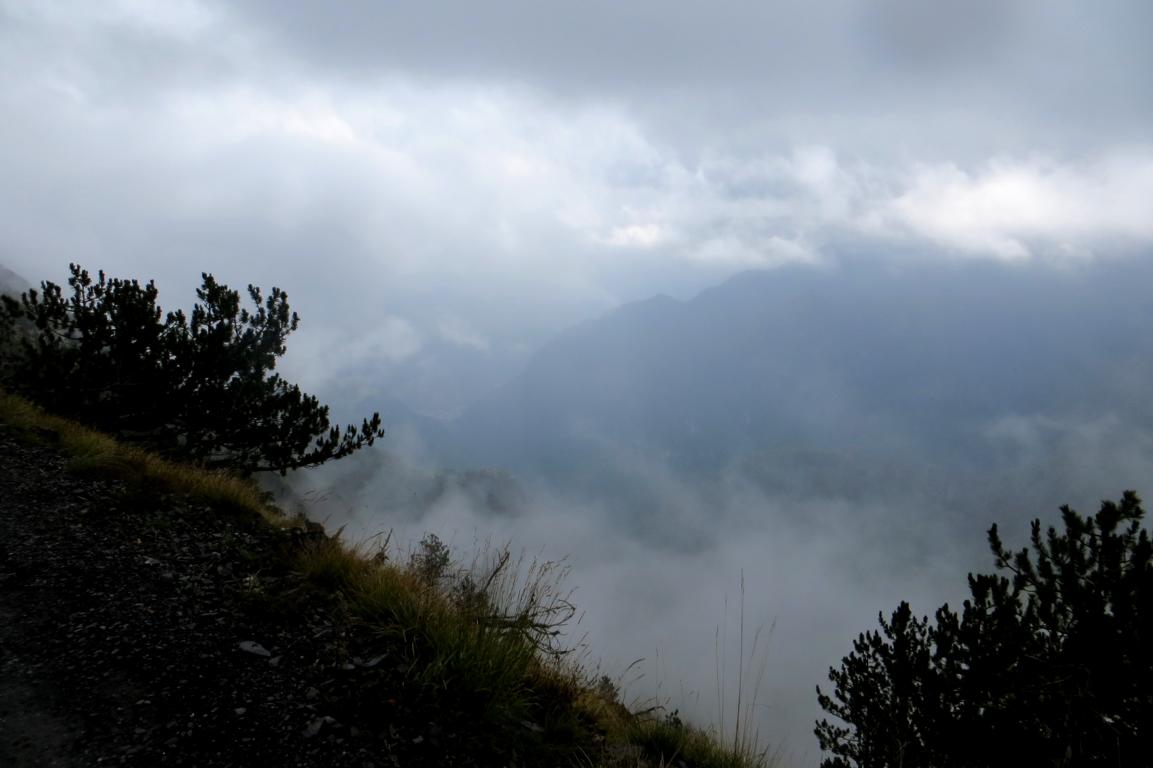 IMG_3786.JPG