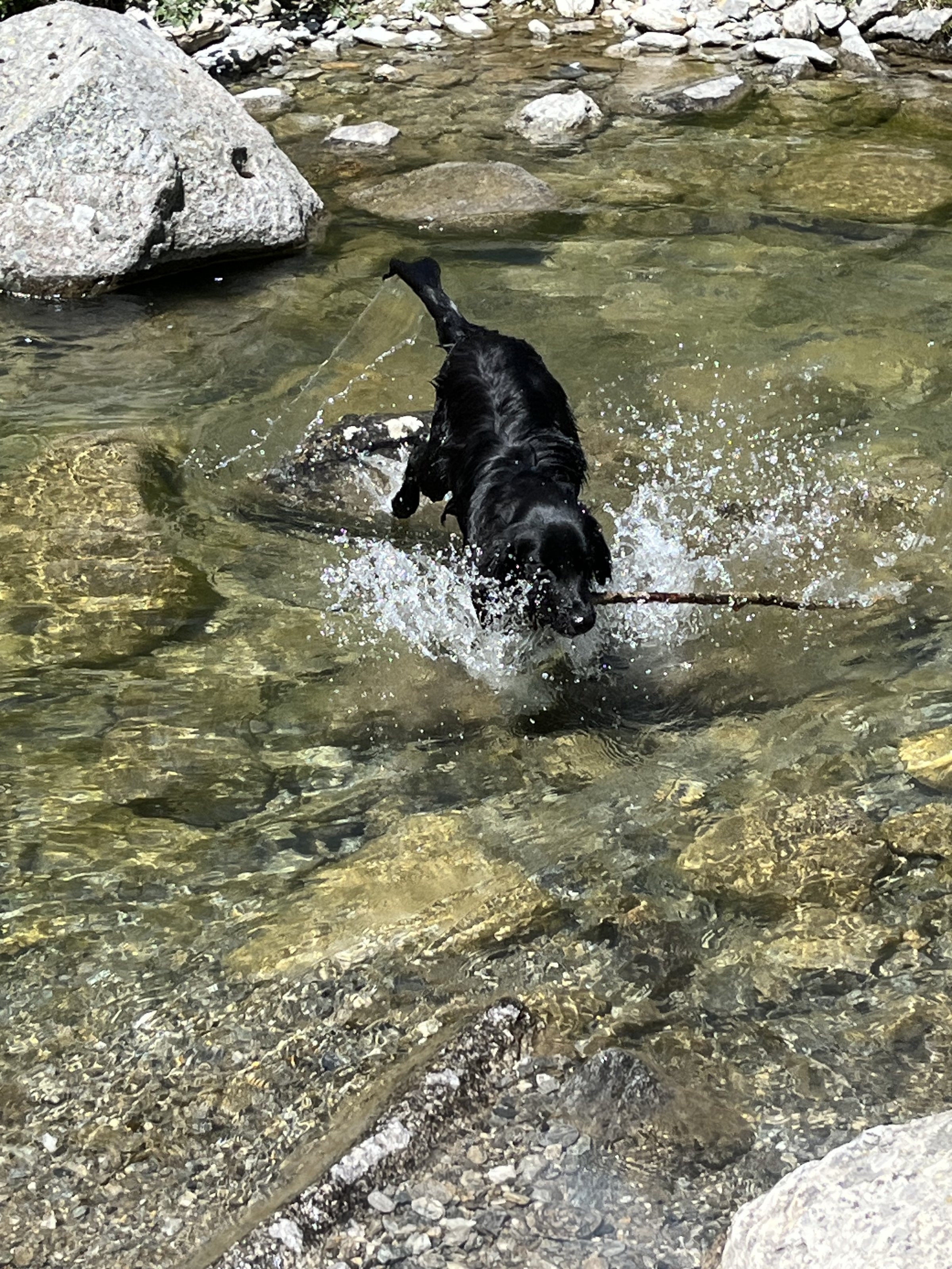 IMG_3802.jpeg