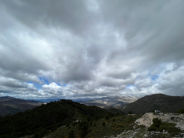 IMG_3990.jpeg