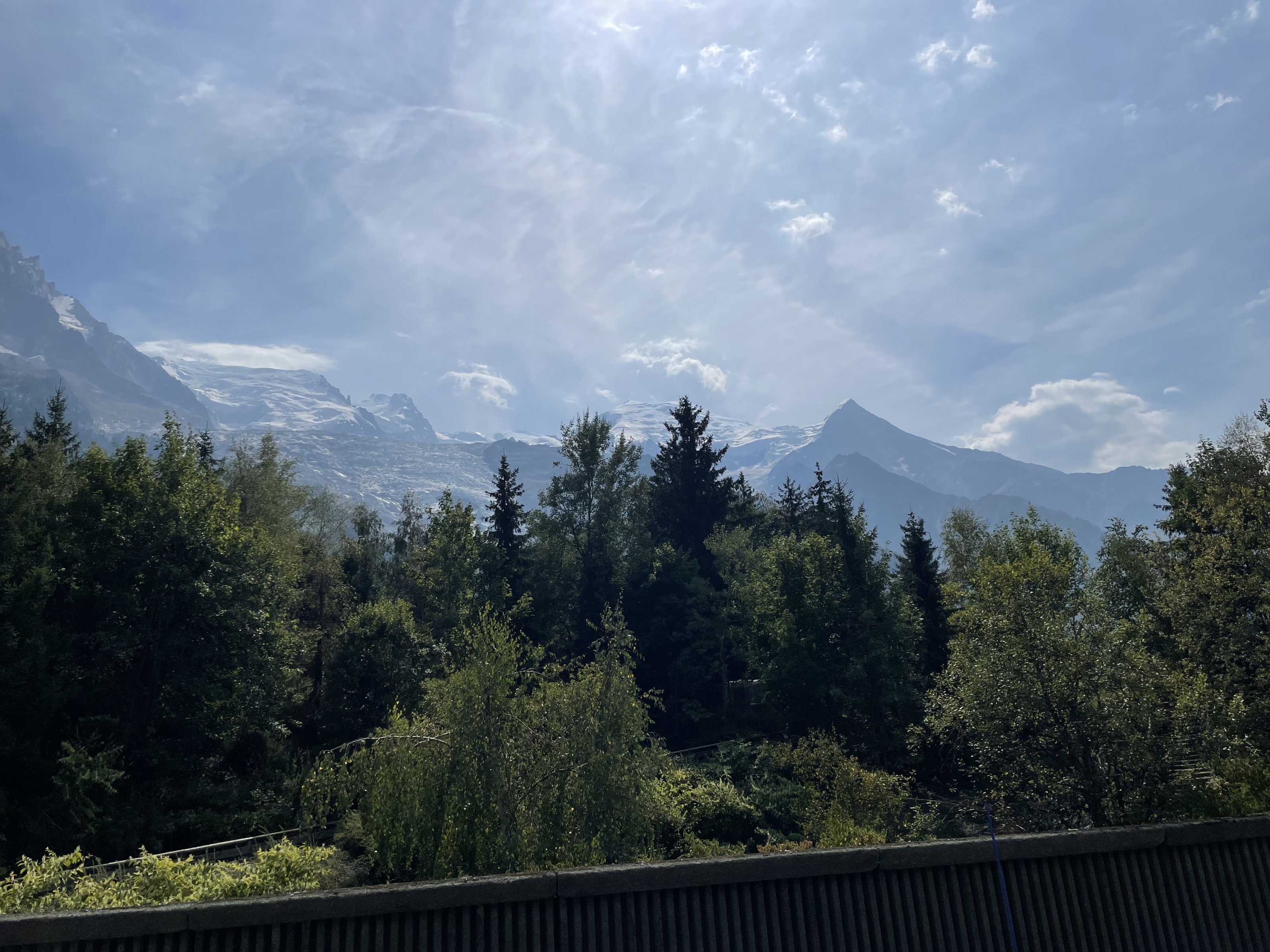 IMG_4287.jpeg