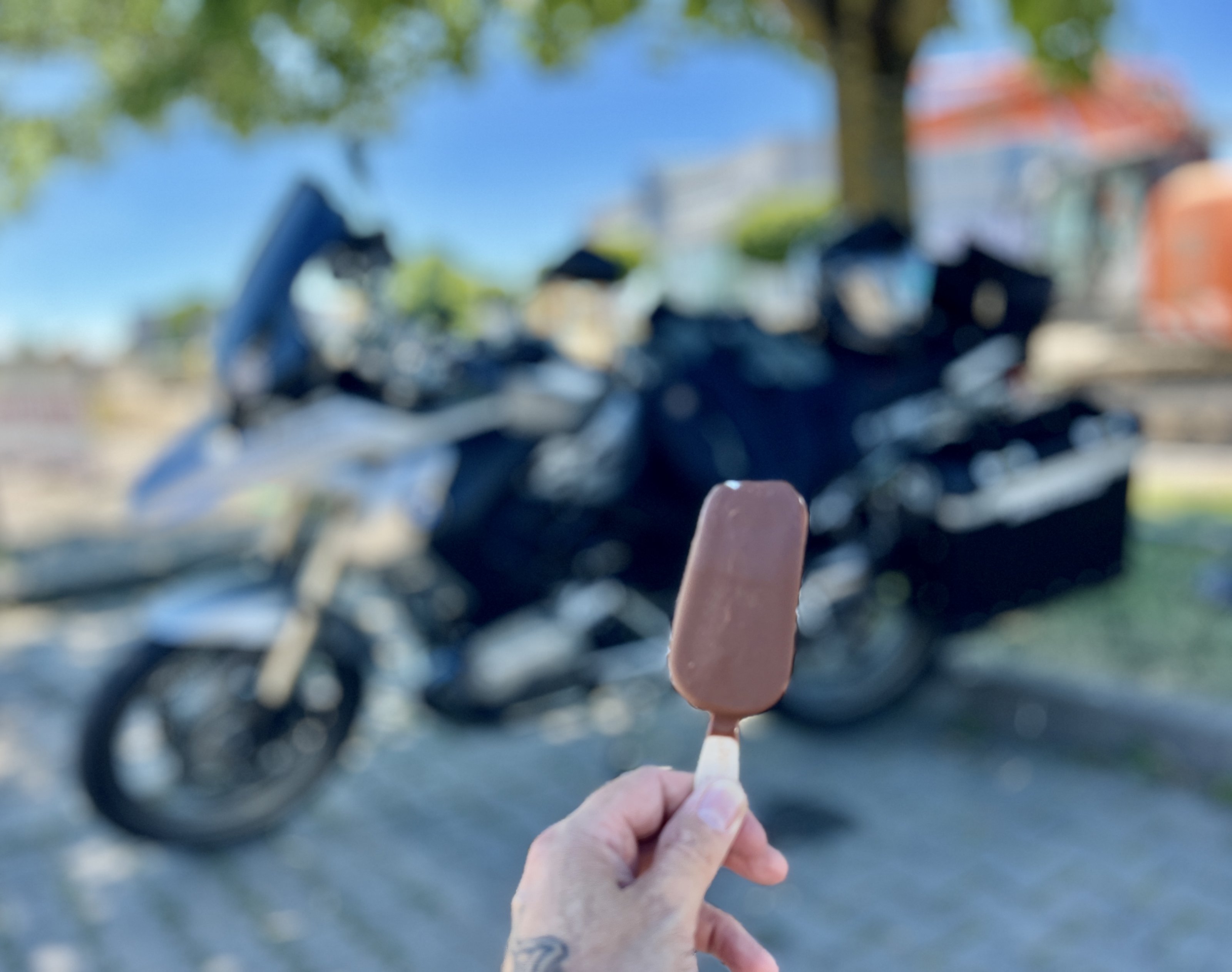 IMG_4416.jpeg