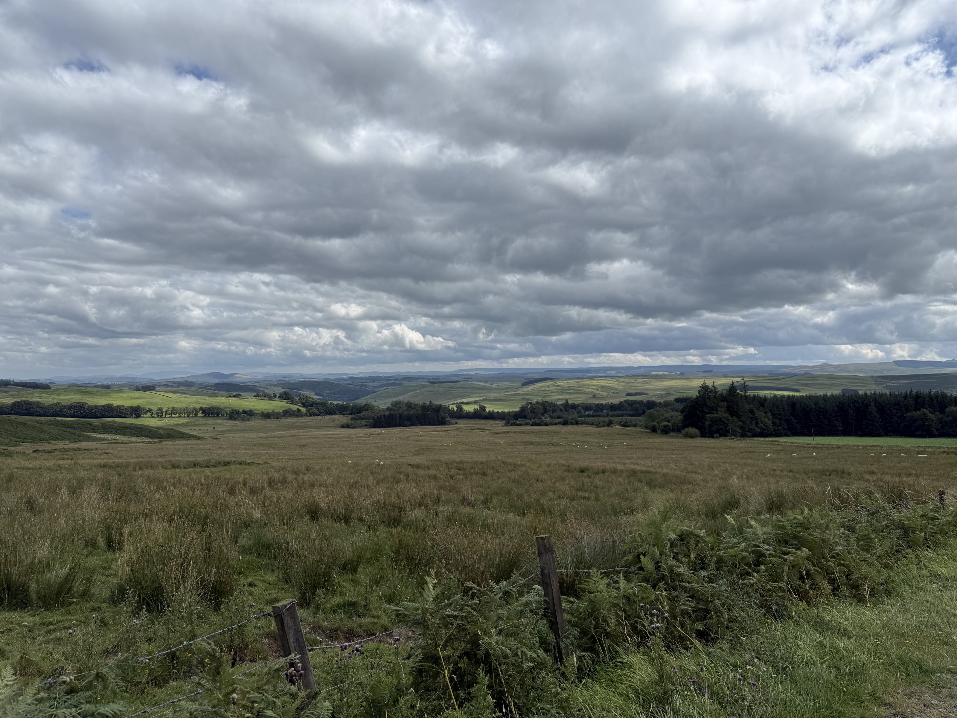 IMG_4480.jpeg