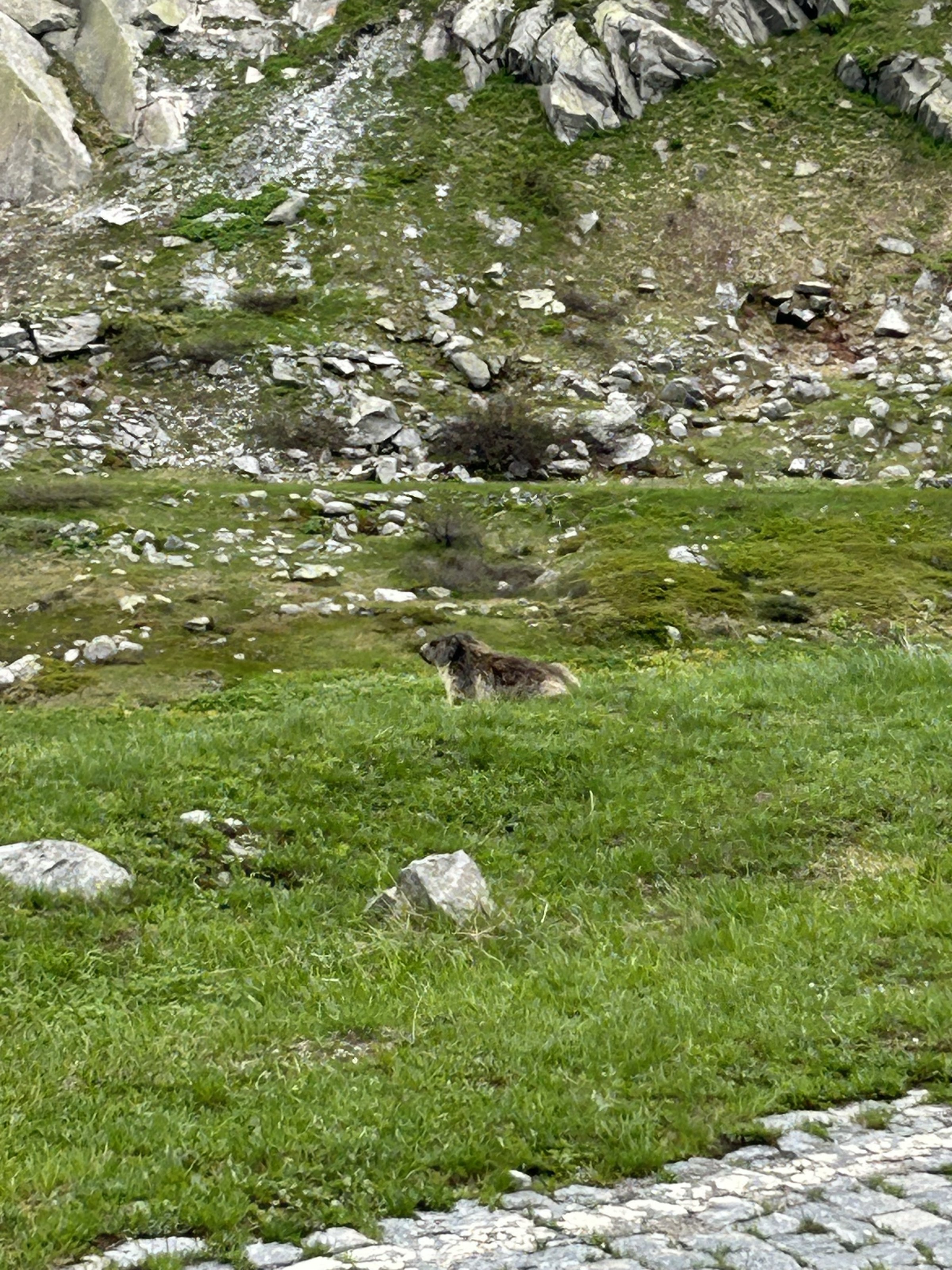 IMG_4561.jpeg