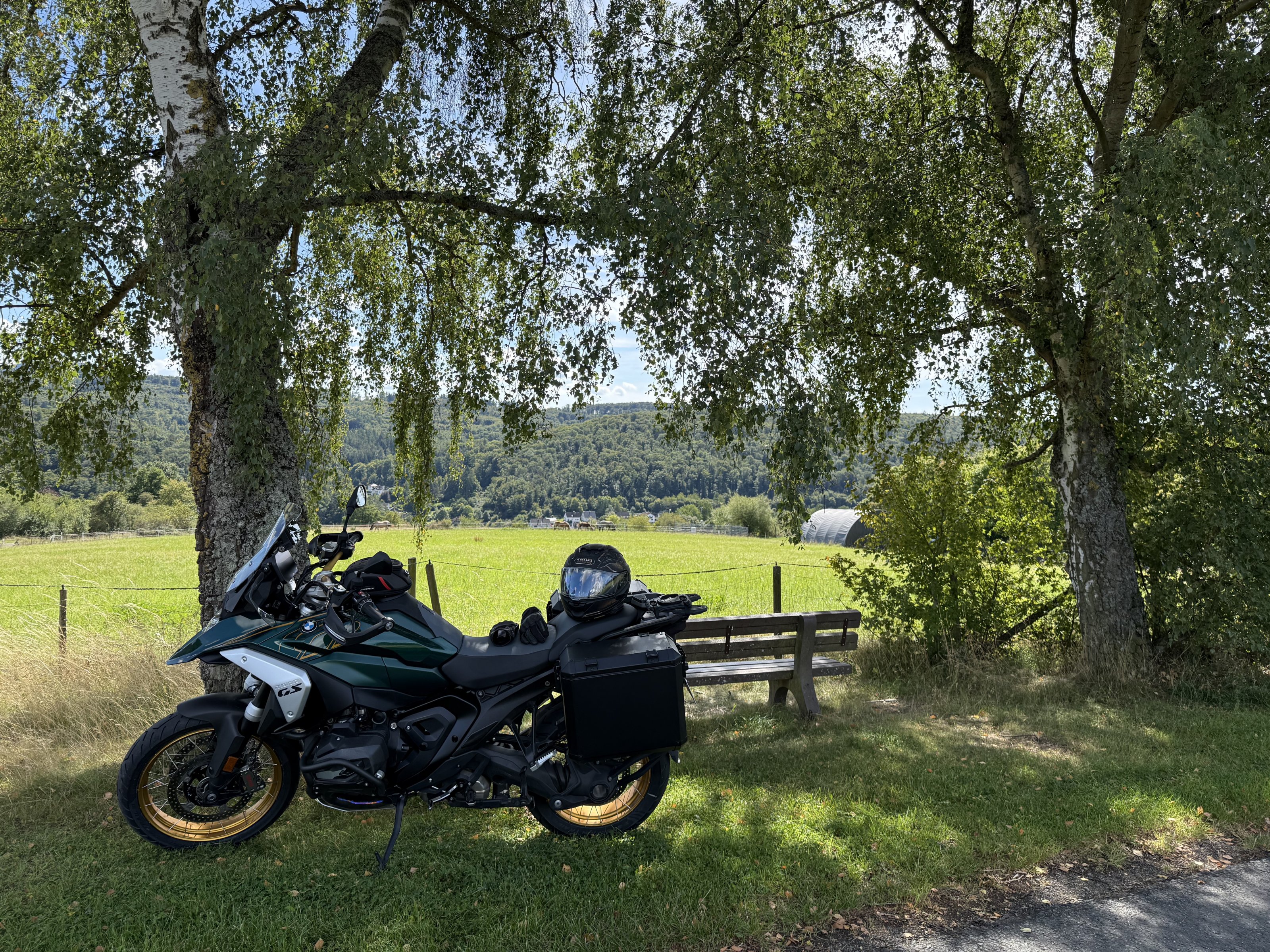 IMG_4716.jpeg