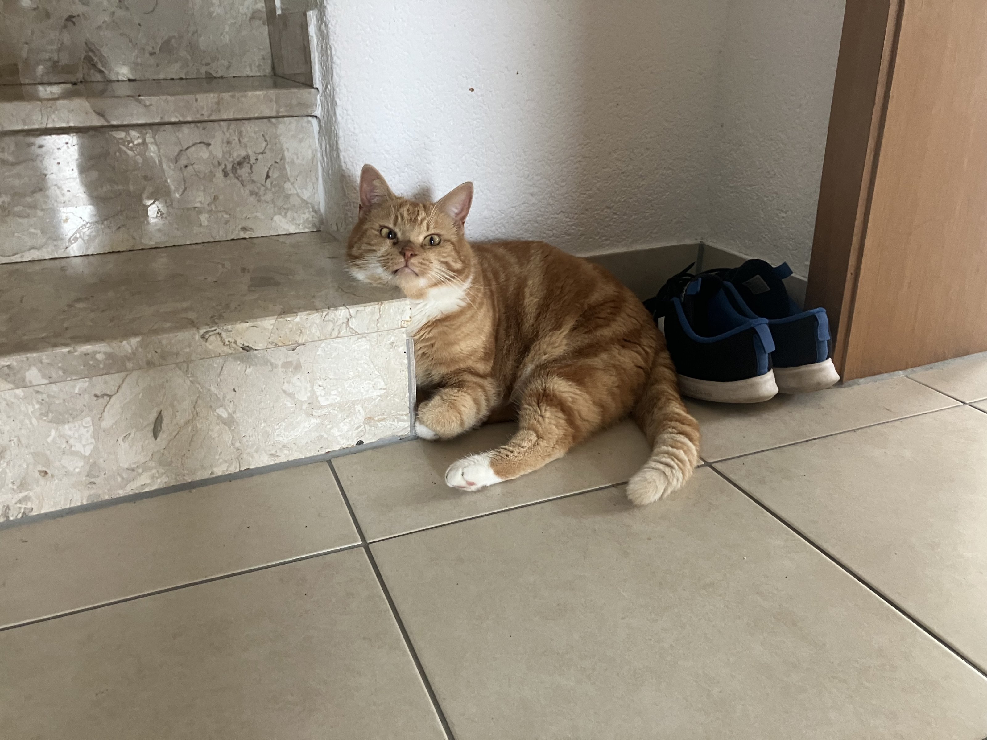 IMG_4814.jpeg