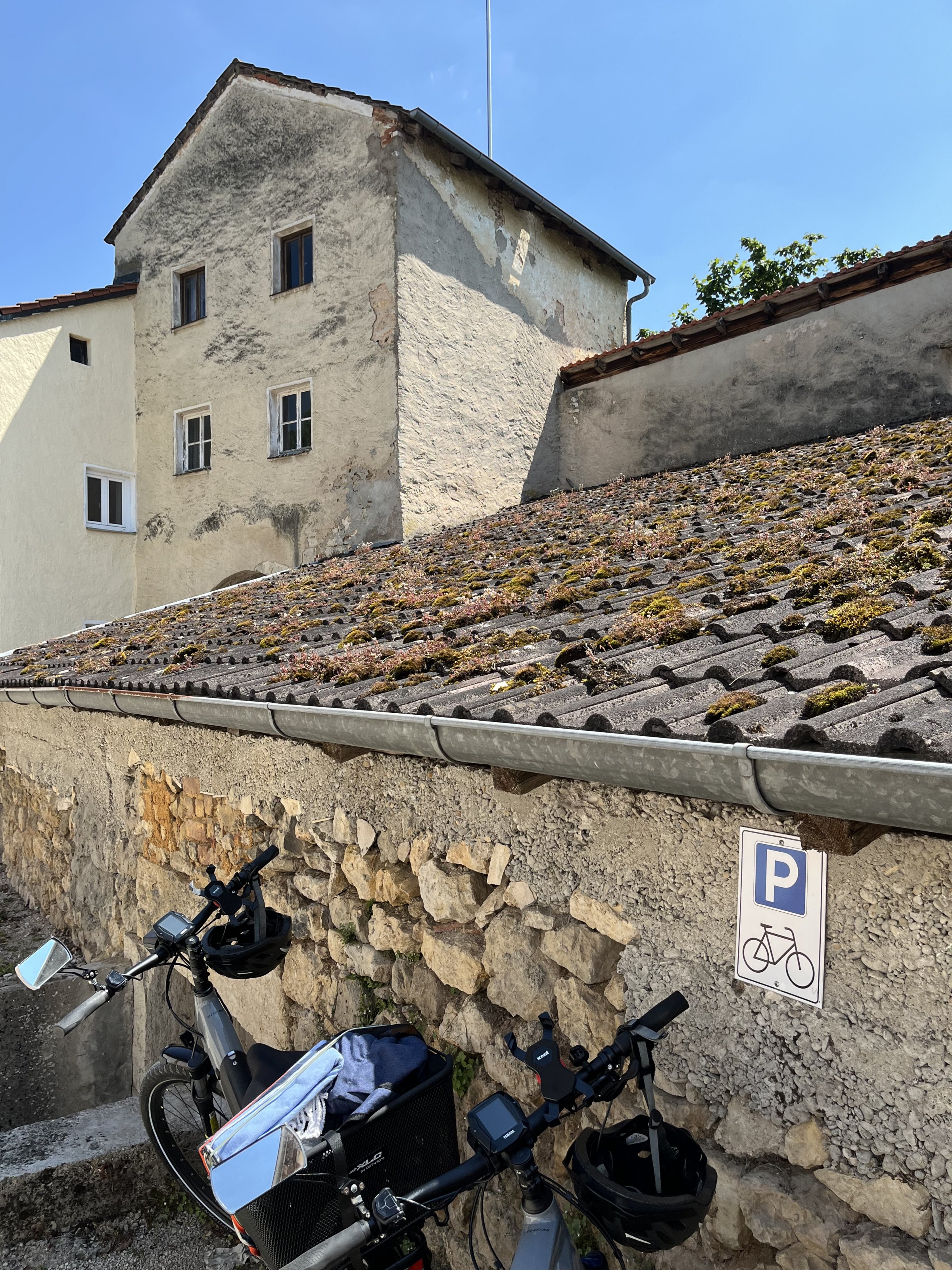IMG_4937.jpeg