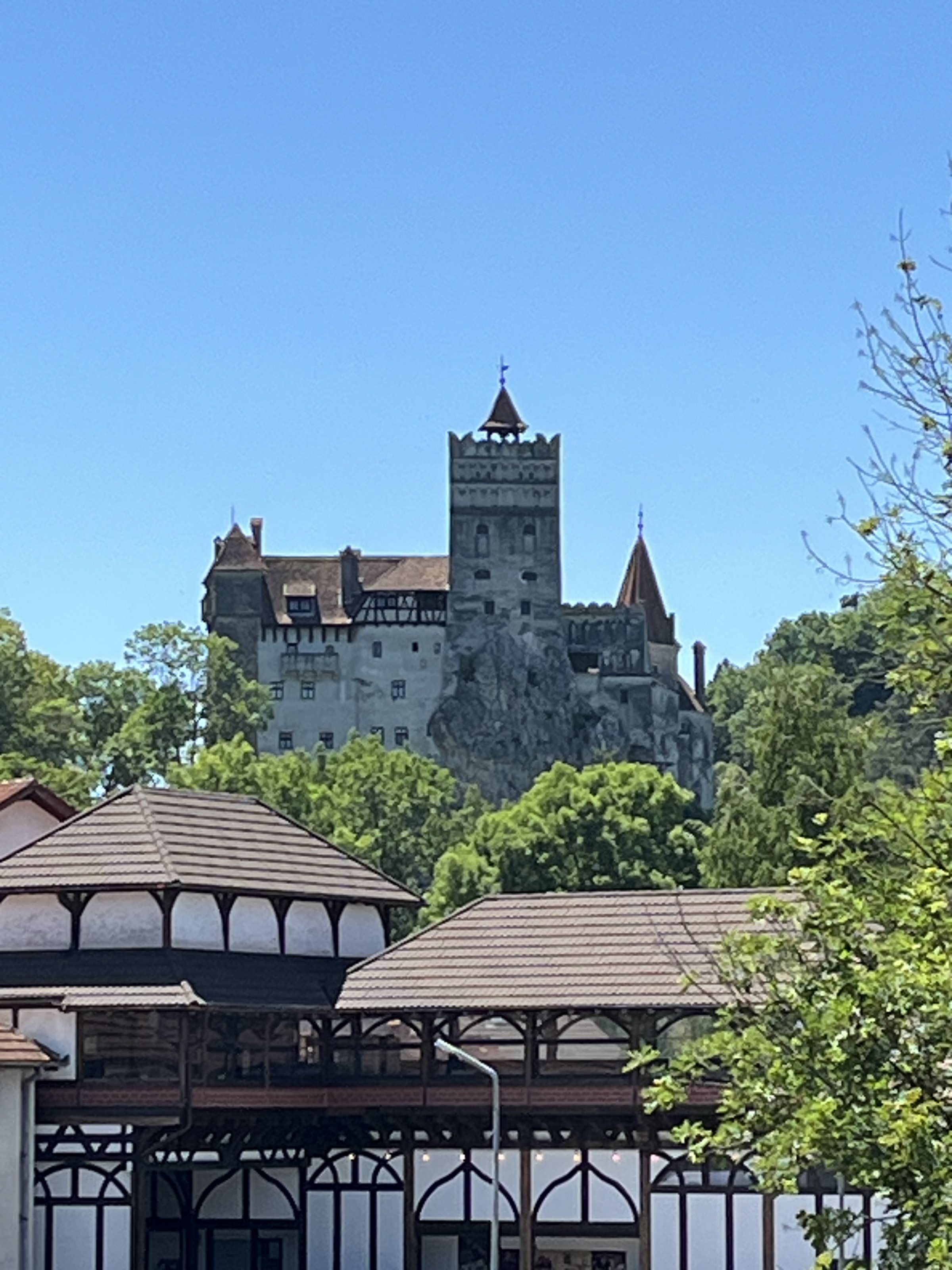 IMG_5330.jpeg