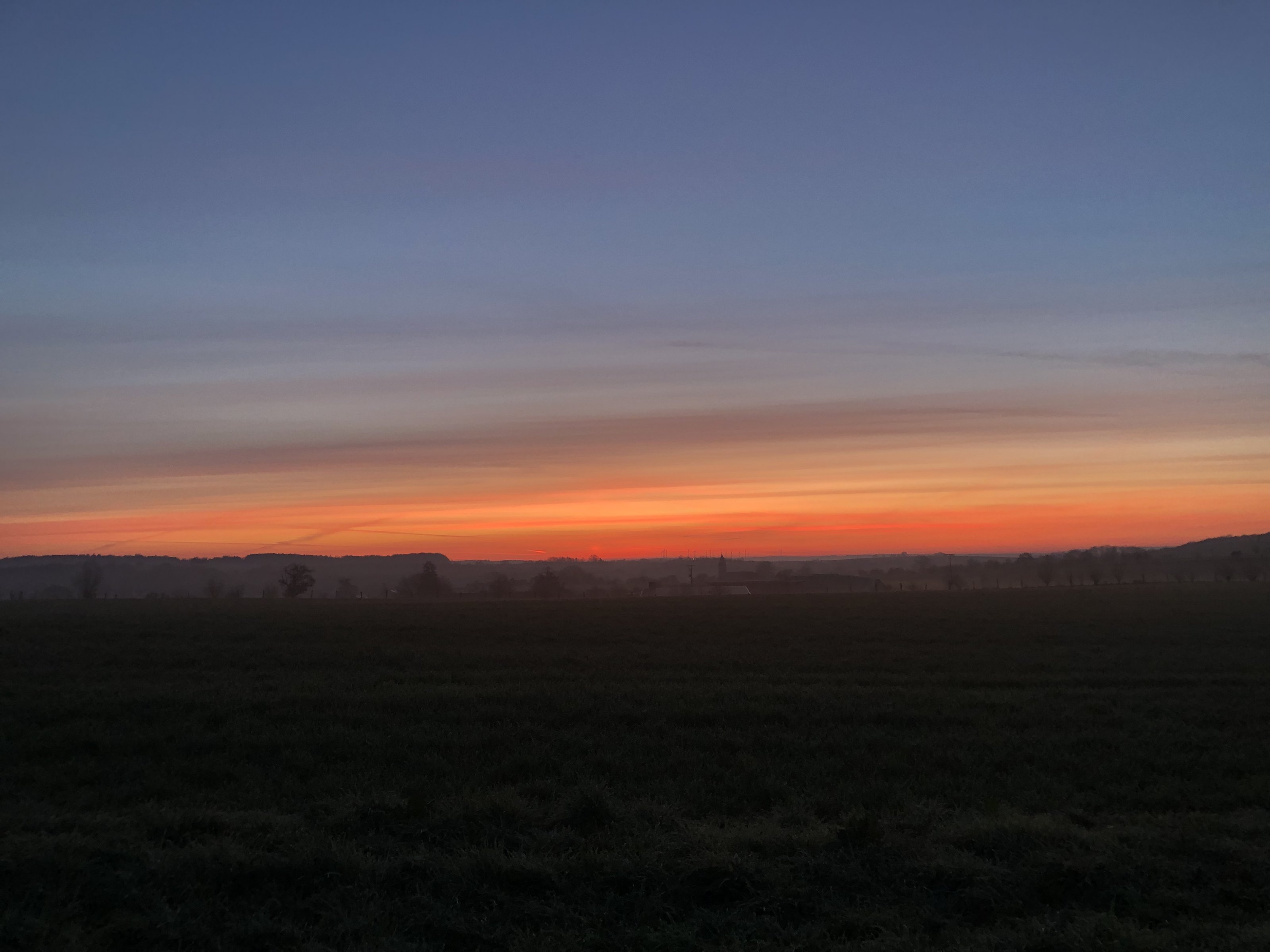 IMG_5460.jpeg