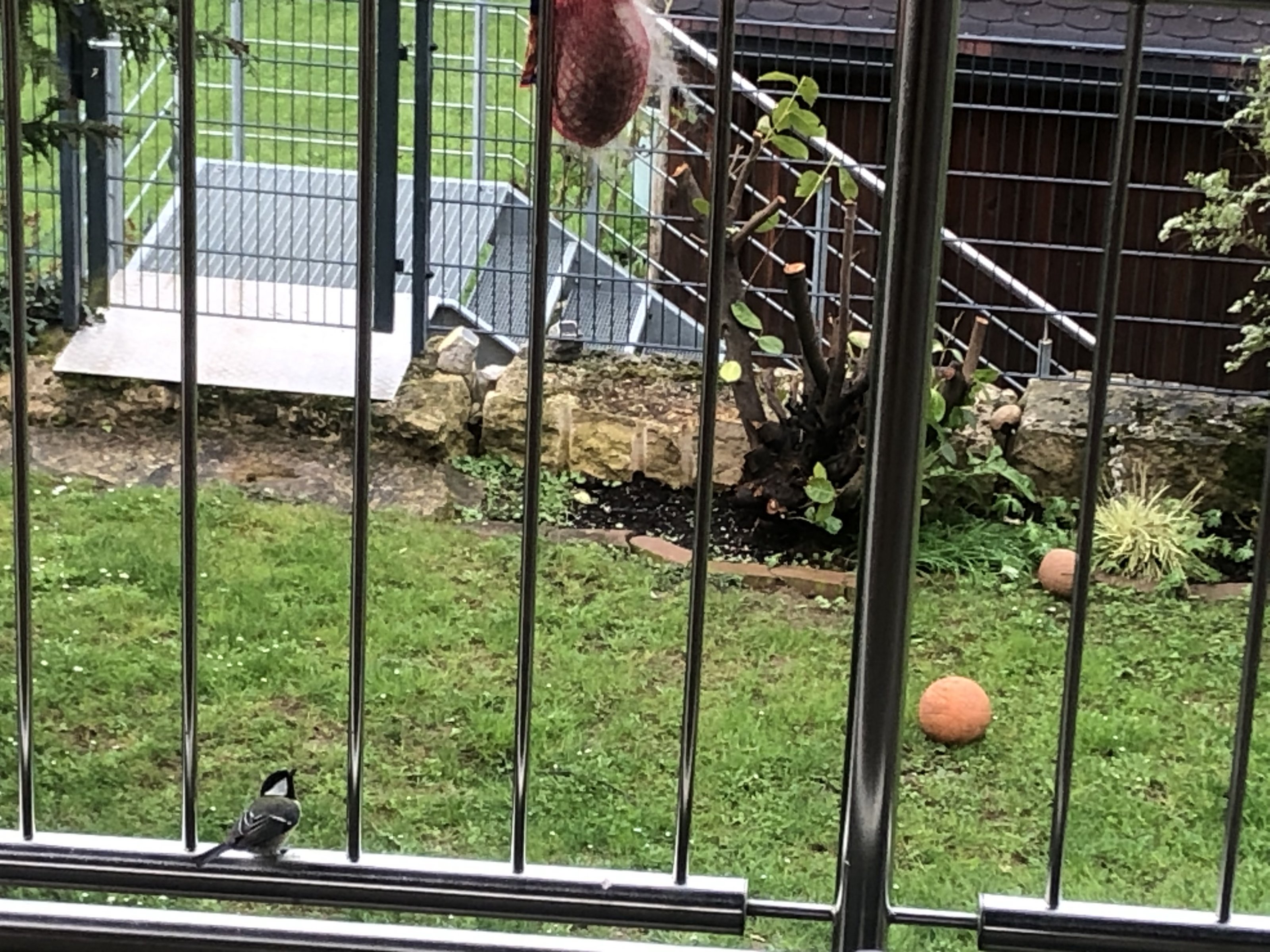 IMG_5539.jpeg