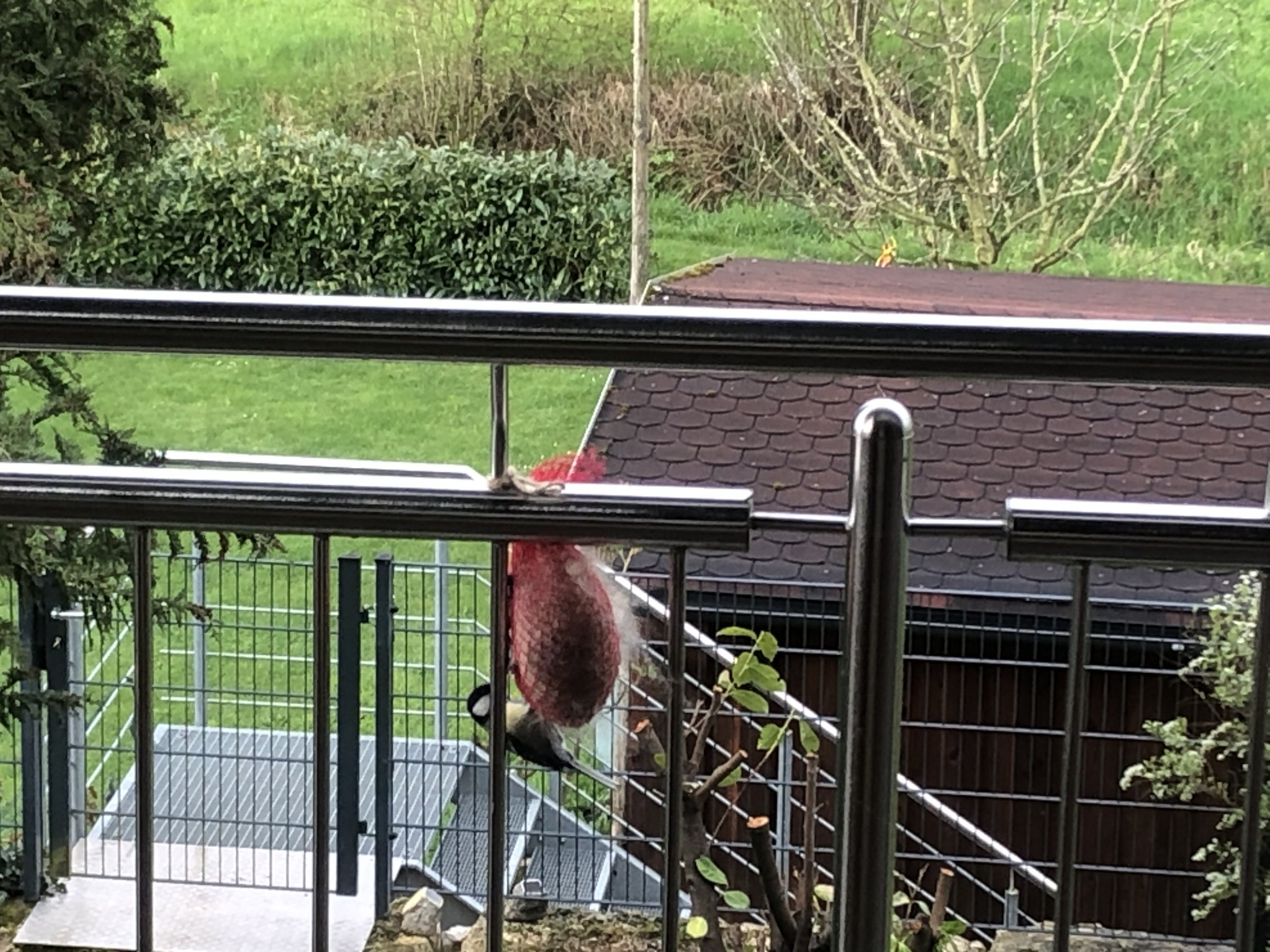 IMG_5540.jpeg